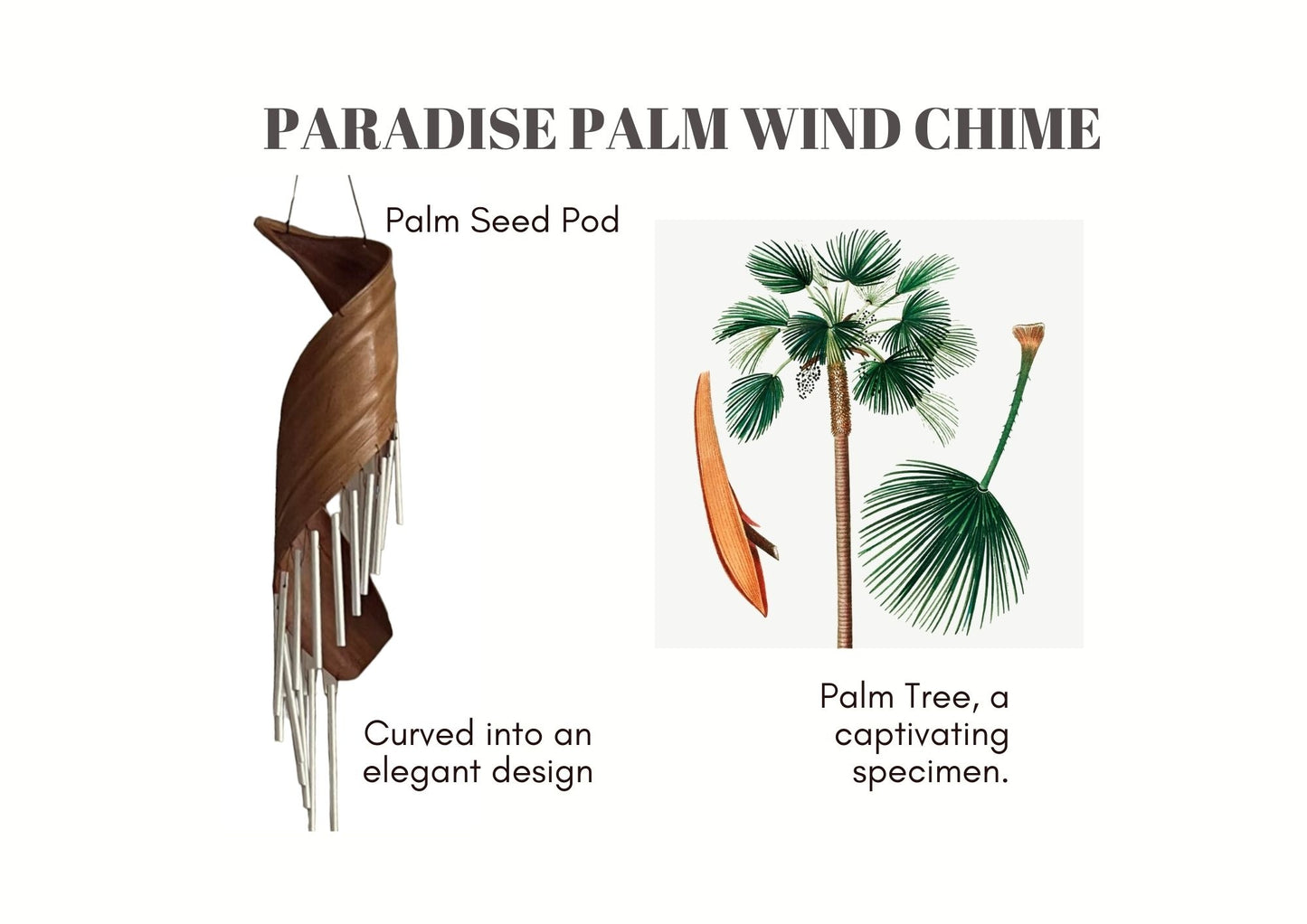 Paradise Palm Wind Chime, Handcrafted in Bali, Unique Design for Indoor or Outdoor, 14.2 Inches Base to top
