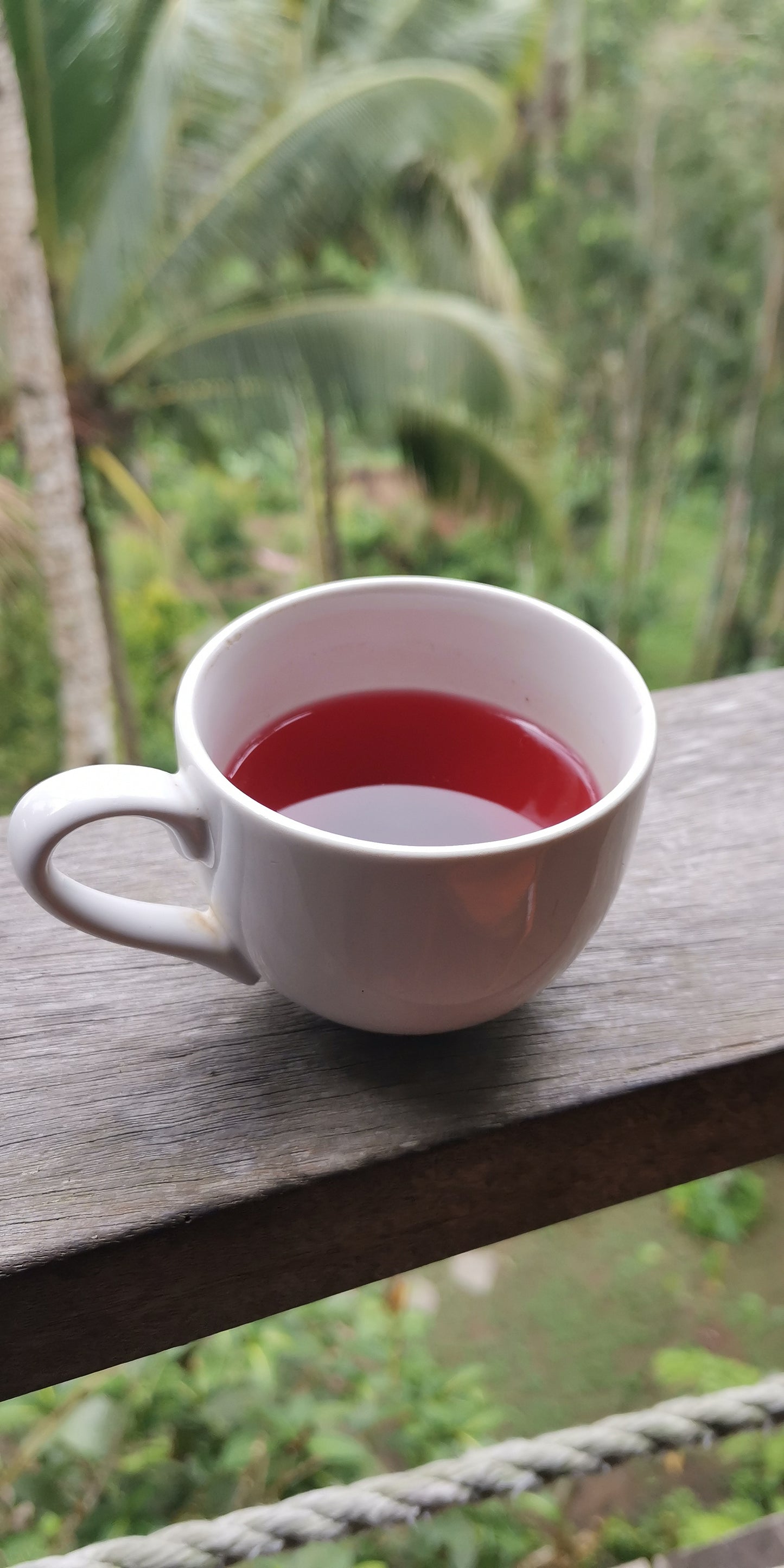 Exquisite Bali Rosella Powder Tea from Exotic Bali, 3.5oz, Herbal & Natural, Beautiful Red Color Drink for Special Events or Relaxing at Home