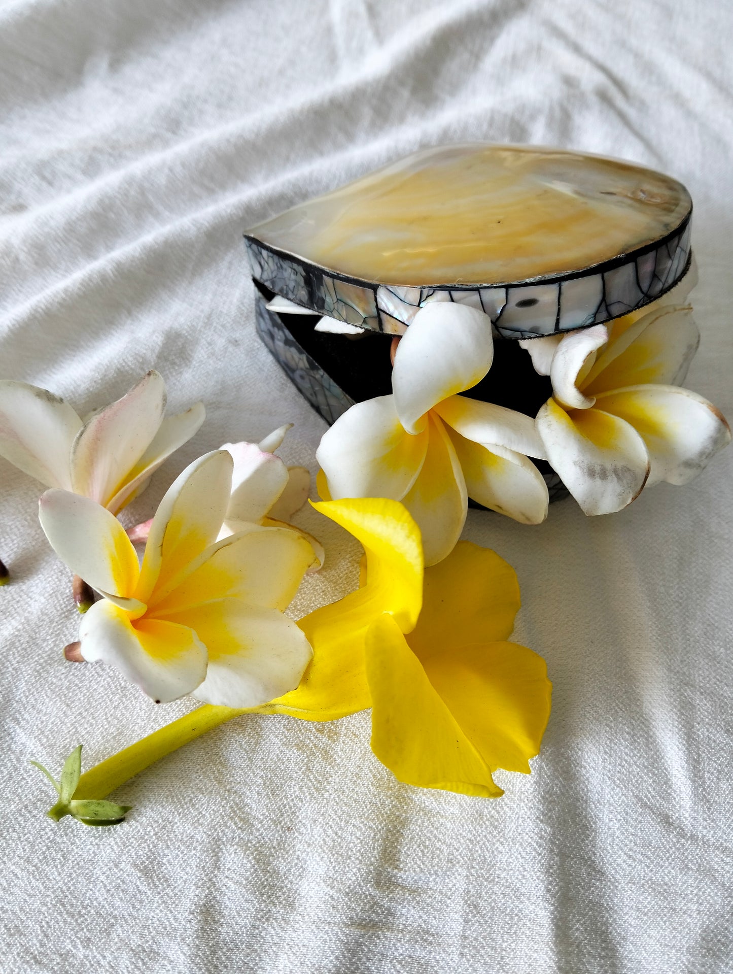 Lunar Pearl Gift Case From Paradise Bali, Jewelry Box for Your Treasures, Vanity Table & Bathroom Accessory, Memories of the Beach, Unique Boho Gift for Friend or Mom