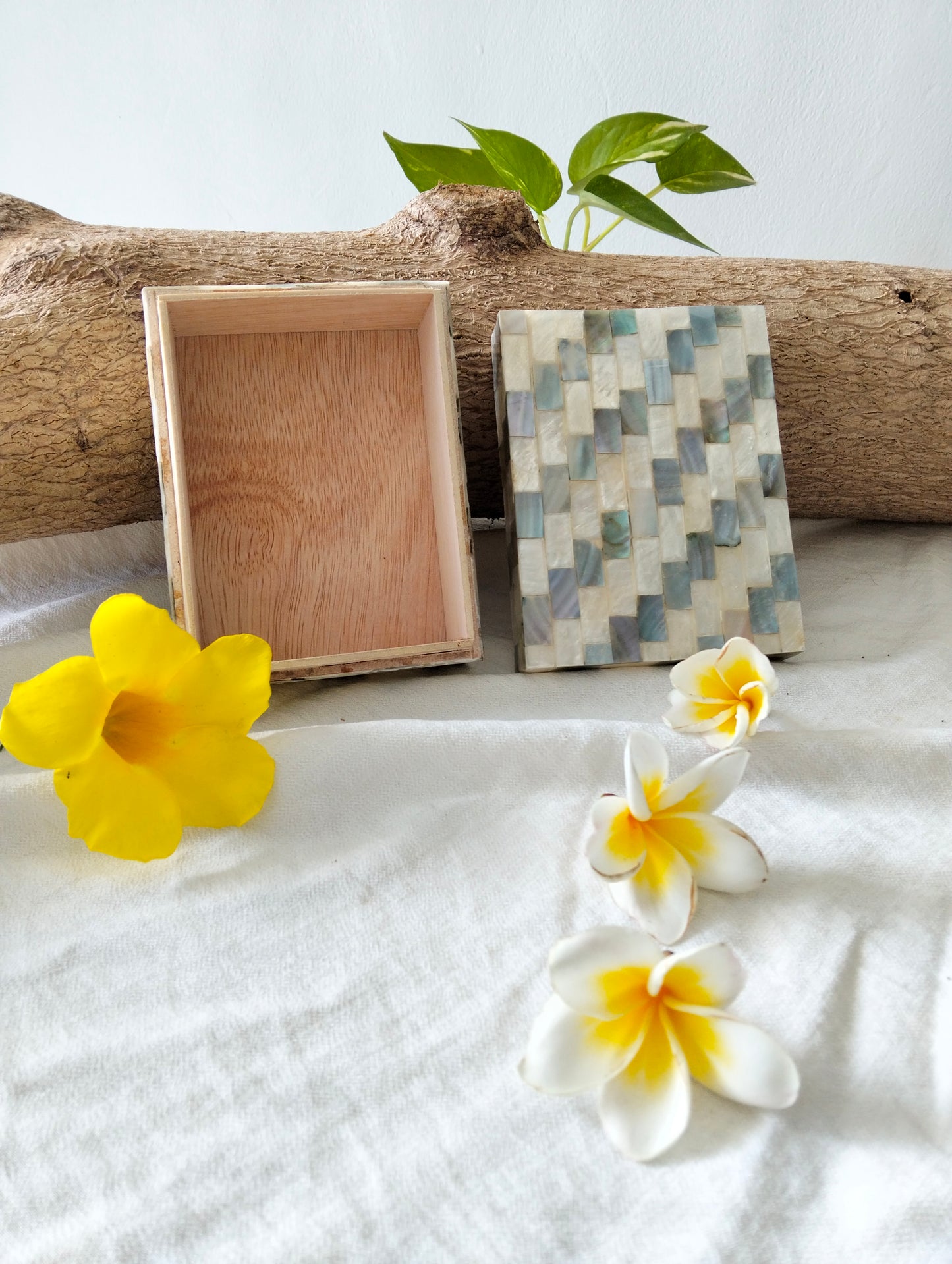 Ocean Whisper Treasure Box from Tropical Island Paradise Bali, Exotic Shell Inlay, Hold Your Fond Memories of the Beach, Vanity and Bathroom Decor Accessory, Boho Style, Gift for Friends & Family