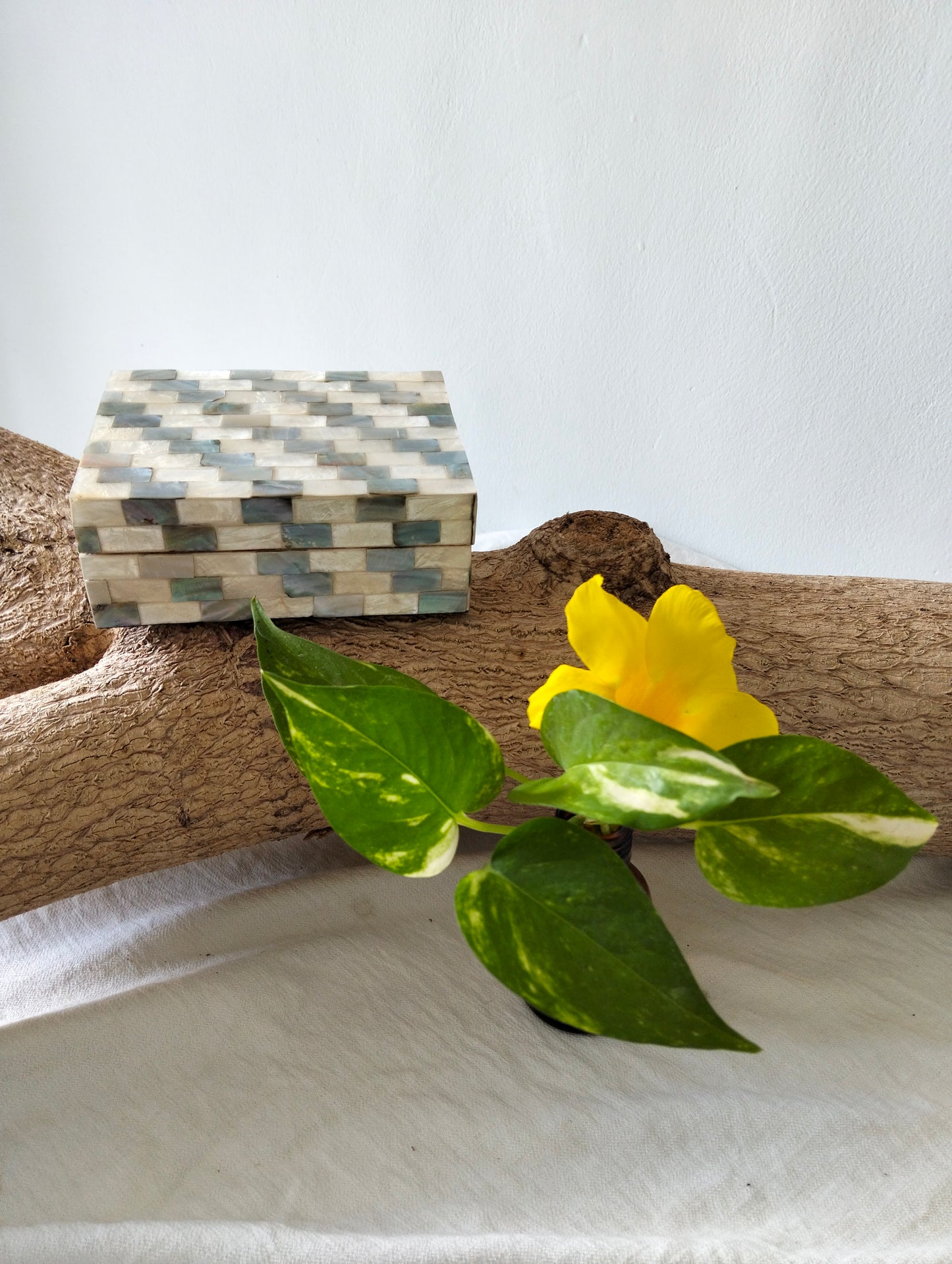 Ocean Whisper Treasure Box from Tropical Island Paradise Bali, Exotic Shell Inlay, Hold Your Fond Memories of the Beach, Vanity and Bathroom Decor Accessory, Boho Style, Gift for Friends & Family