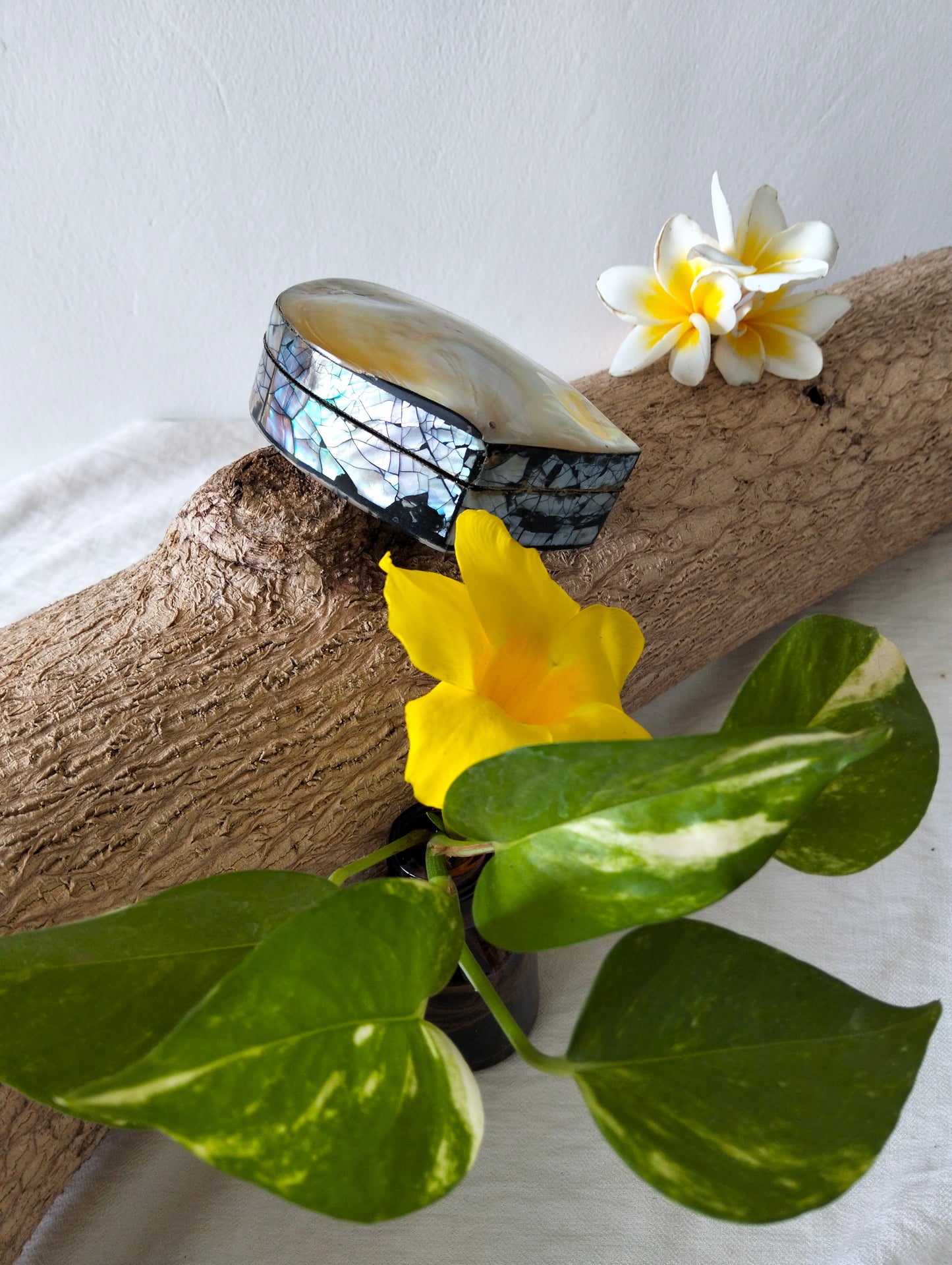 Lunar Pearl Gift Case From Paradise Bali, Jewelry Box for Your Treasures, Vanity Table & Bathroom Accessory, Memories of the Beach, Unique Boho Gift for Friend or Mom