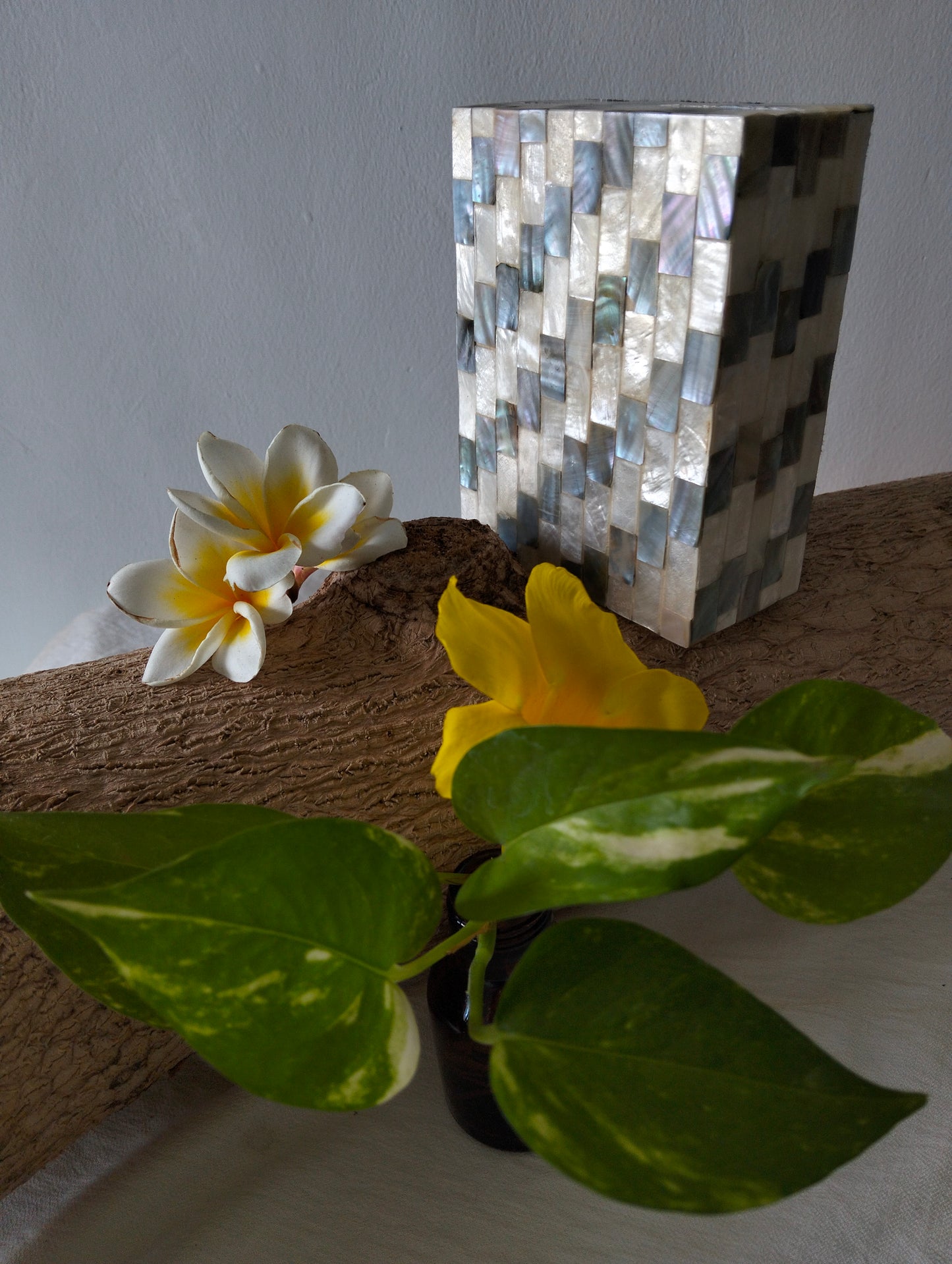 Ocean Whisper Treasure Box from Tropical Island Paradise Bali, Exotic Shell Inlay, Hold Your Fond Memories of the Beach, Vanity and Bathroom Decor Accessory, Boho Style, Gift for Friends & Family
