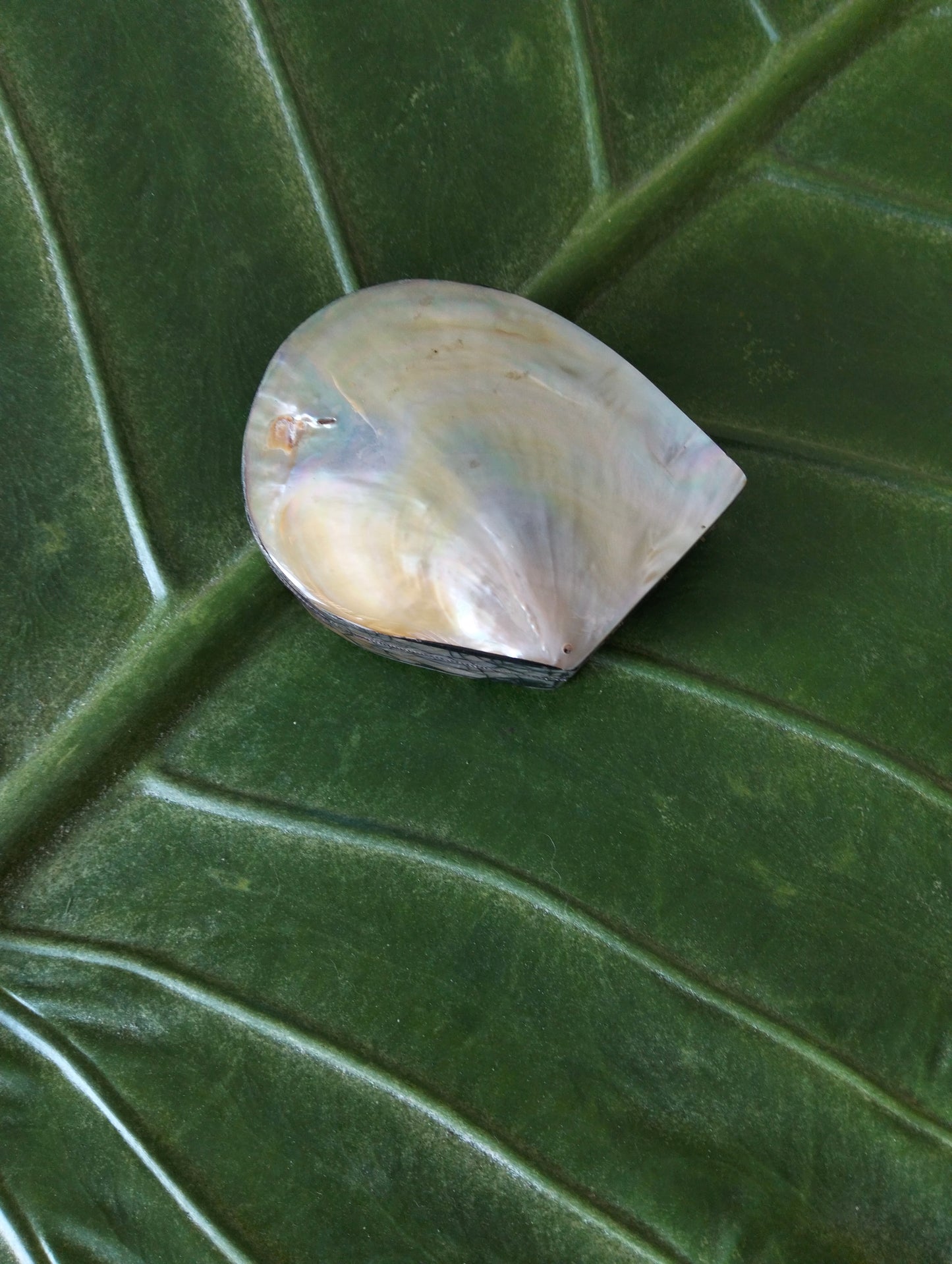 Lunar Pearl Gift Case From Paradise Bali, Jewelry Box for Your Treasures, Vanity Table & Bathroom Accessory, Memories of the Beach, Unique Boho Gift for Friend or Mom