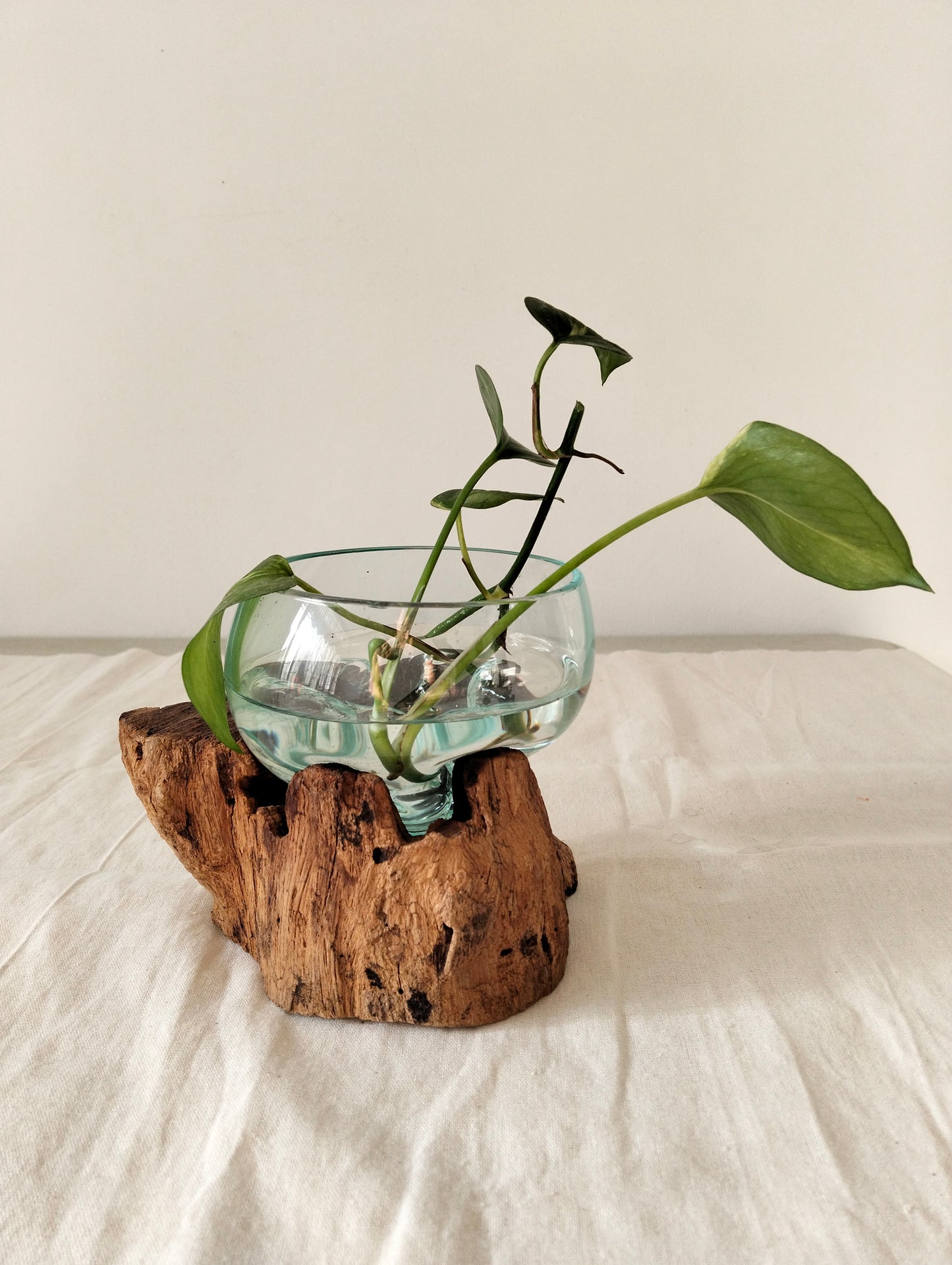 Flowing Glass Vase Handmade in Exotic Bali, Unique Housewarming Gift, Wedding Gift, Natural Boho Decor, Work of Art and Functional Vase, Art Meets Nature in Every Curve