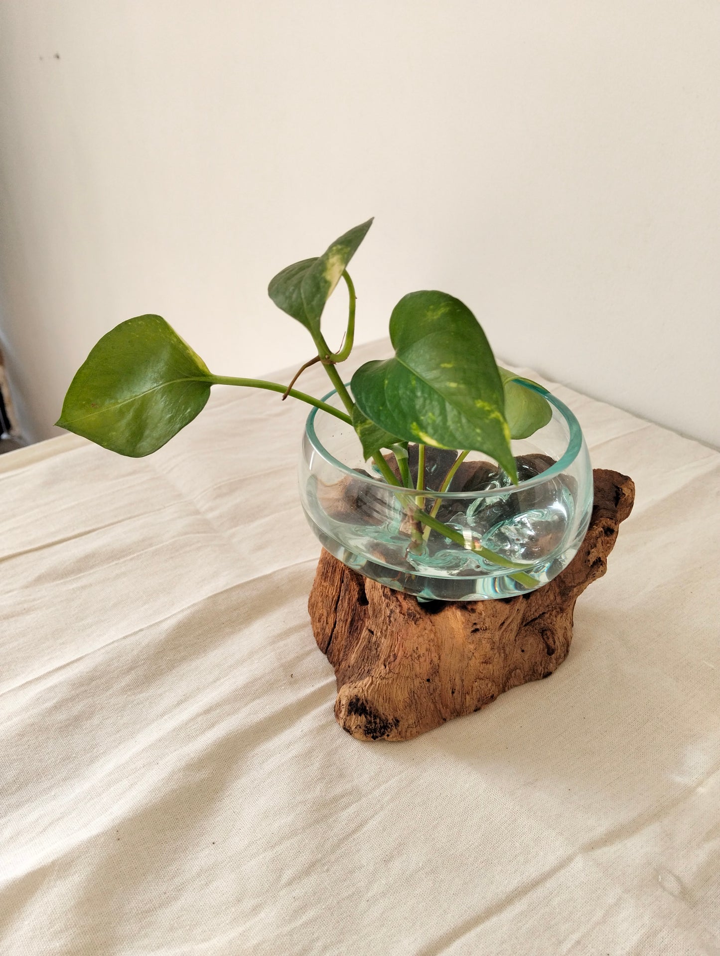 Flowing Glass Vase Handmade in Exotic Bali, Unique Housewarming Gift, Wedding Gift, Natural Boho Decor, Work of Art and Functional Vase, Art Meets Nature in Every Curve