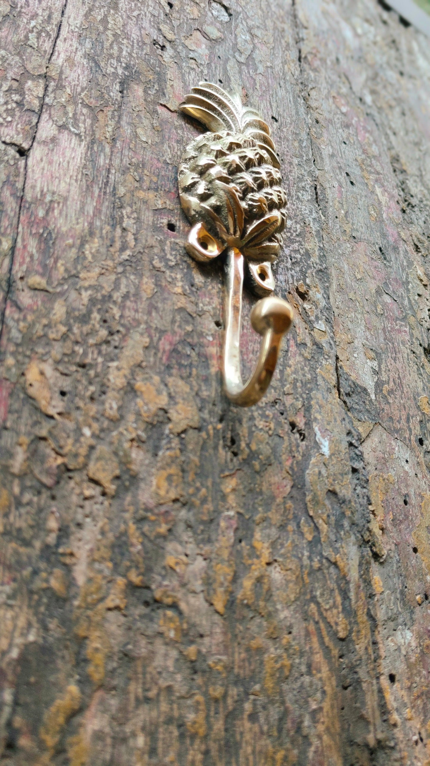 Pineapple Grove Bronze Walls Hooks (Set of 2) - Decorative, Functional, and Perfect for Tropical Homes Handmade in Exotic Bali, Home Decor