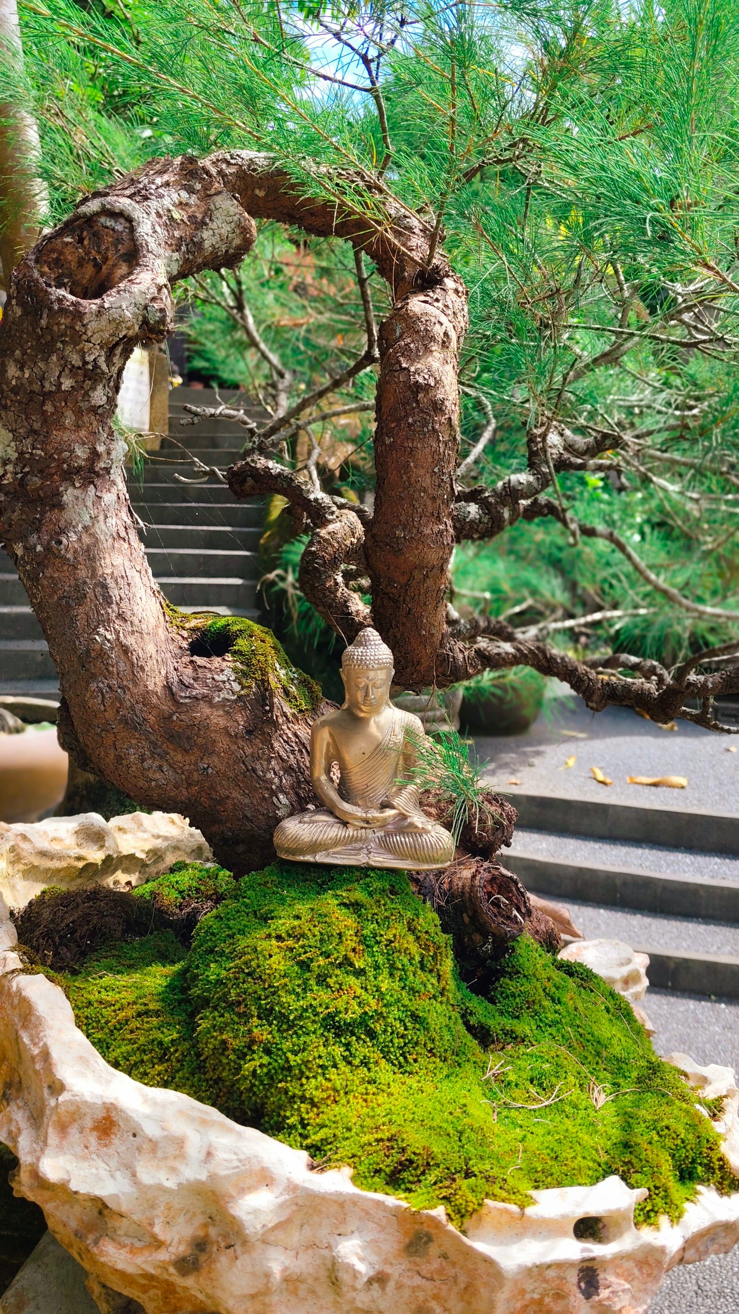 Bali Tranquility Buddha - Bronze Figurine for Calm & Clarity Perfect for Soothing and Calming Home Decor or Office Décor