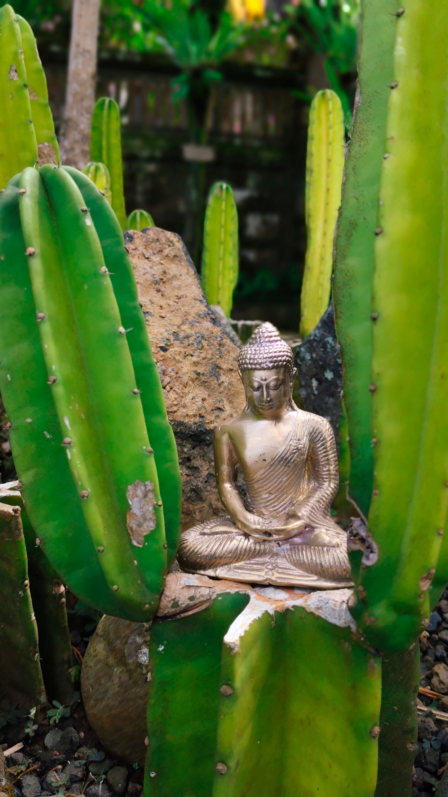 Bali Tranquility Buddha - Bronze Figurine for Calm & Clarity Perfect for Soothing and Calming Home Decor or Office Décor