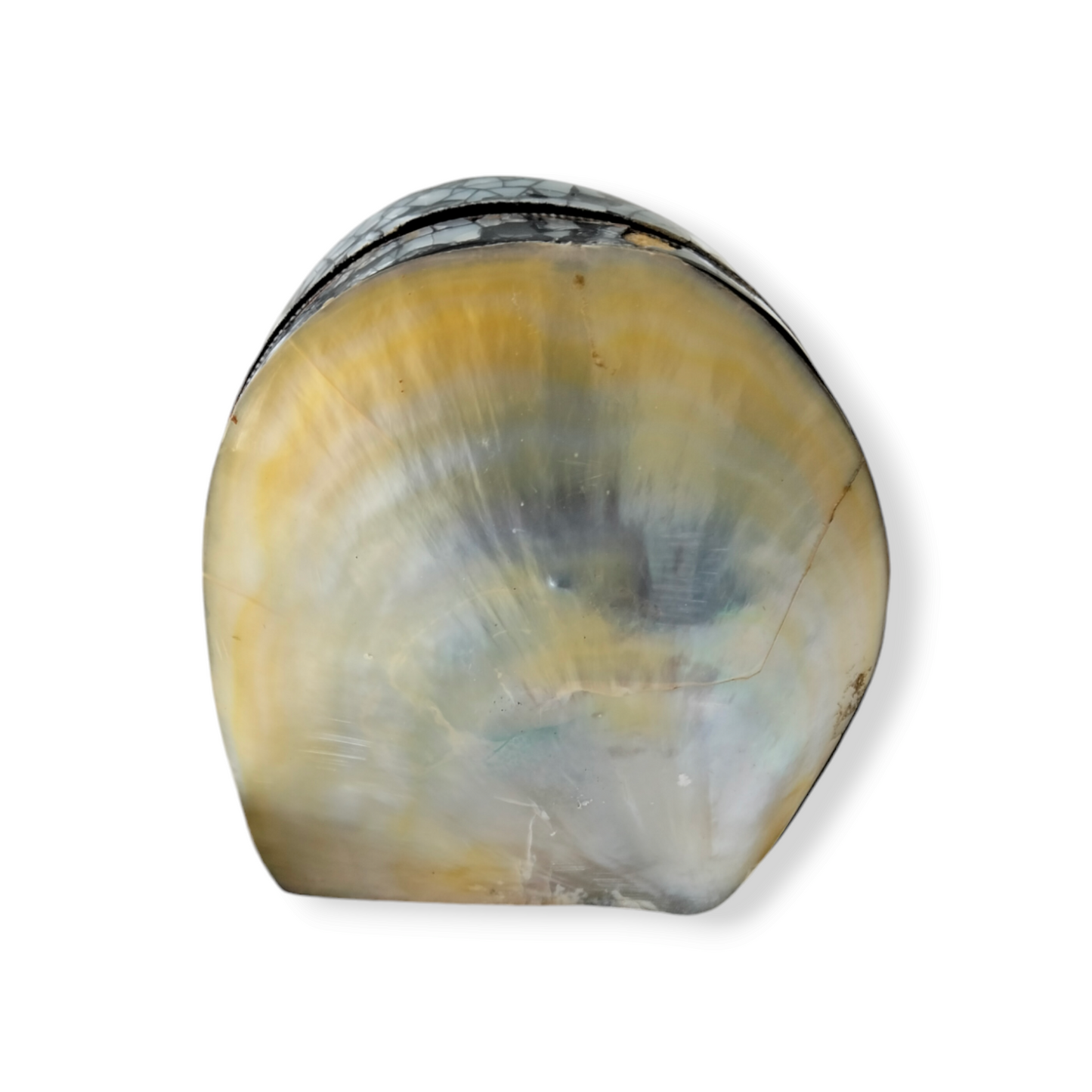 Lunar Pearl Gift Case From Paradise Bali, Jewelry Box for Your Treasures, Vanity Table & Bathroom Accessory, Memories of the Beach, Unique Boho Gift for Friend or Mom