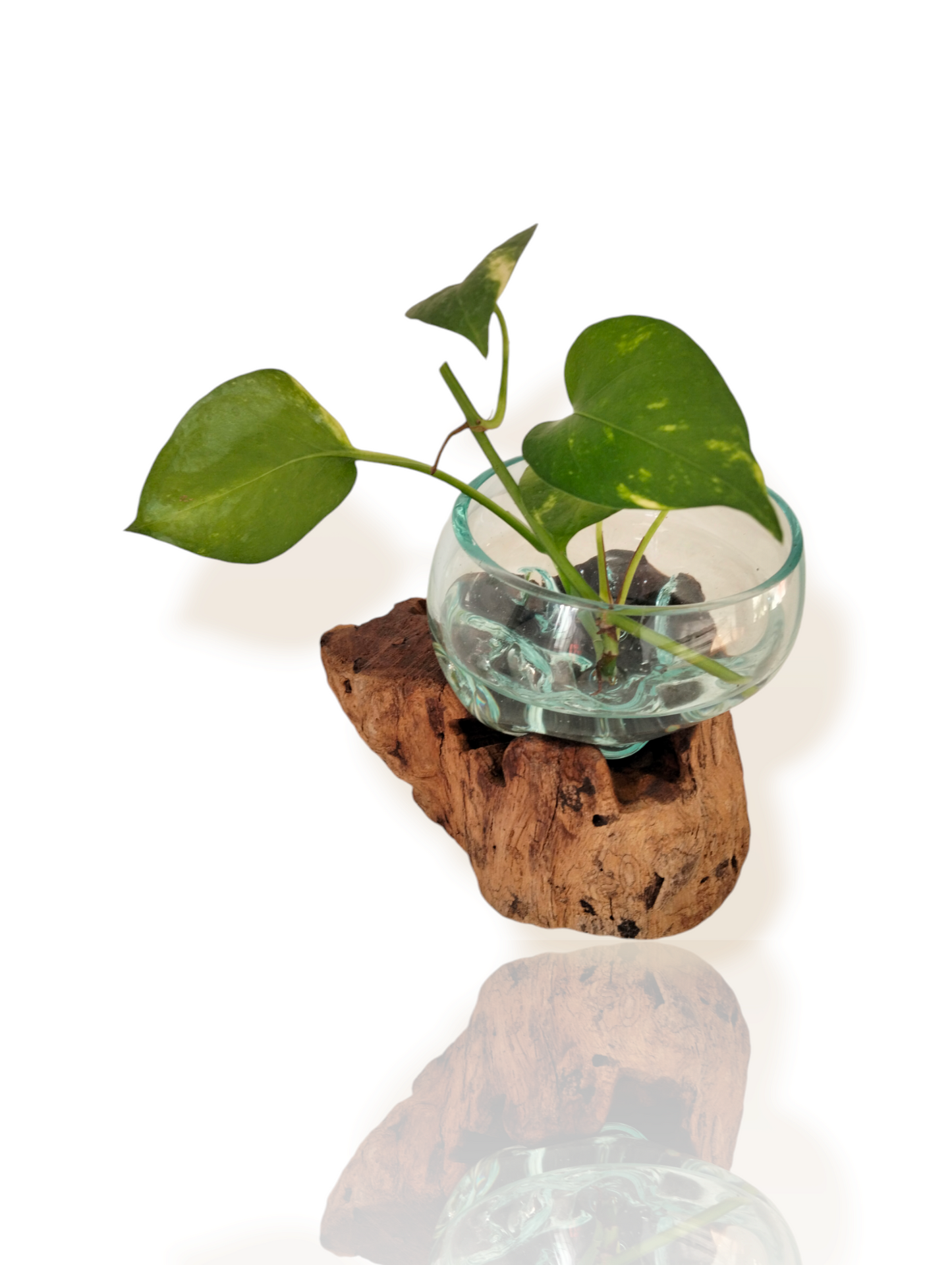 Flowing Glass Vase Handmade in Exotic Bali, Unique Housewarming Gift, Wedding Gift, Natural Boho Decor, Work of Art and Functional Vase, Art Meets Nature in Every Curve