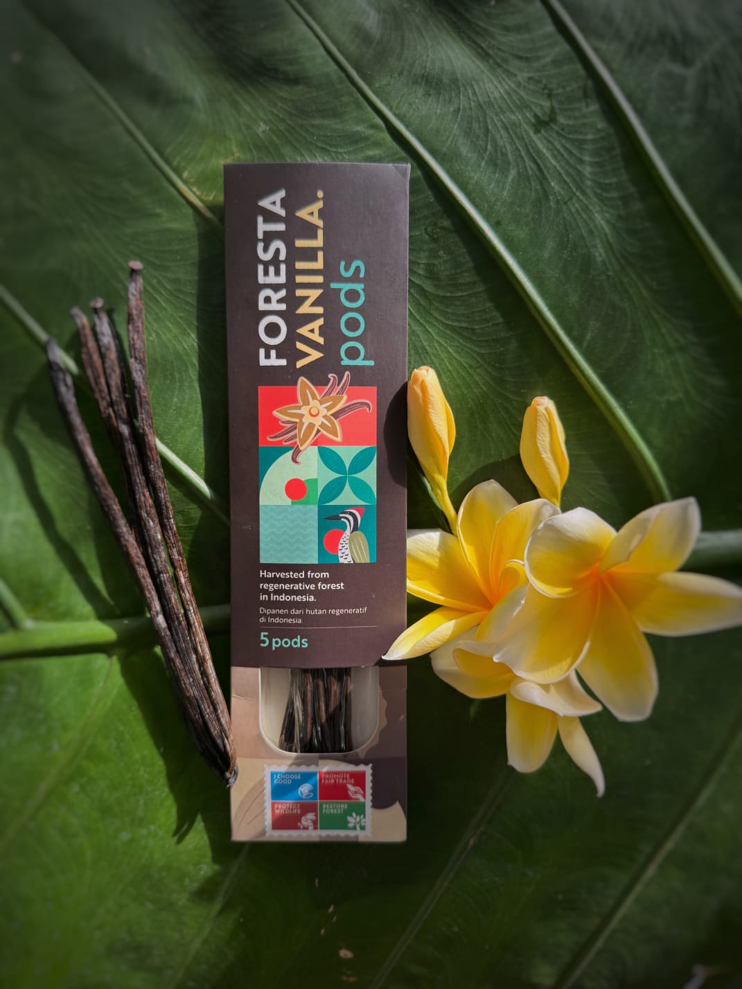 Foresta Bali Vanilla Beans, Grade A, 5-Pack, Premium Gourmet Pods, Rich and Aromatic, for Baking, Making Extract and Cooking