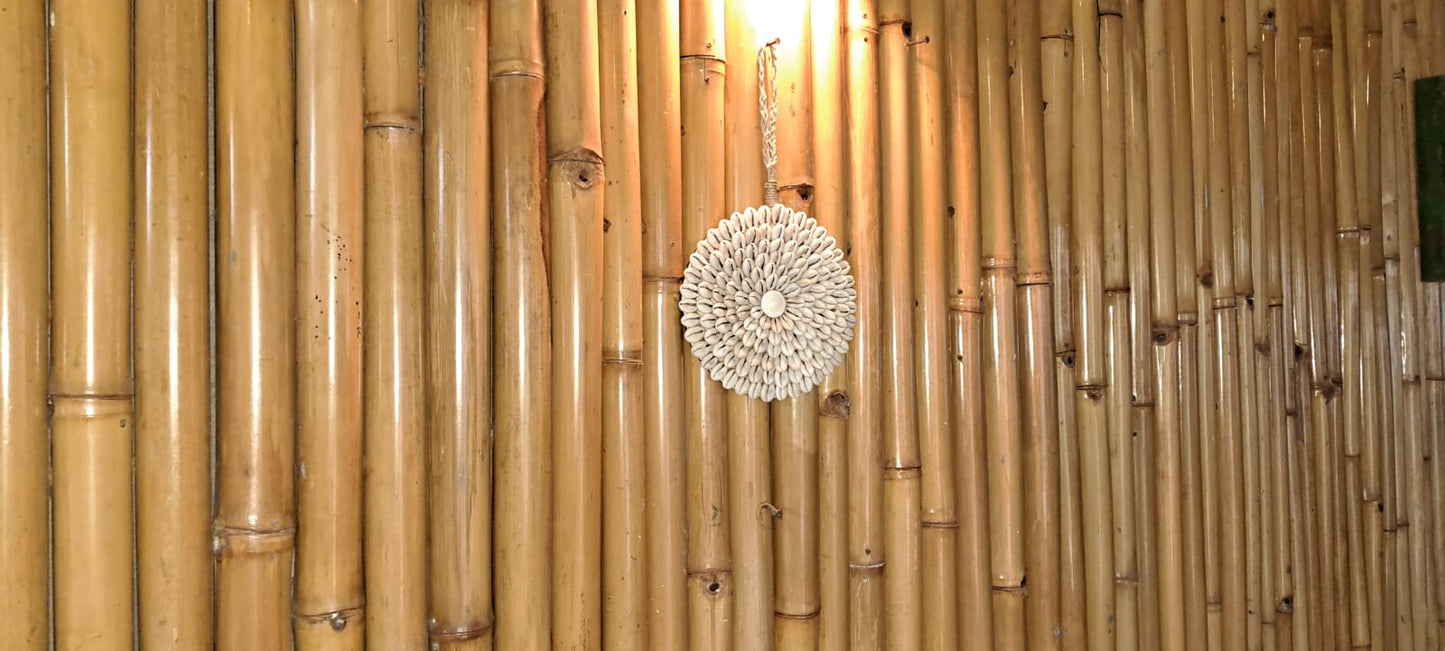 Shell Bloom Wall Art - Nature’s Pattern, Handcrafted for Tropical Elegance Handmade Shell Art from Exotic Bali, Wall Decor