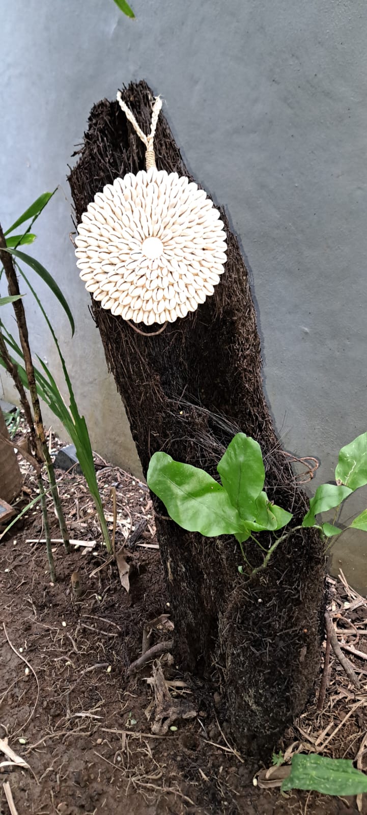Shell Bloom Wall Art - Nature’s Pattern, Handcrafted for Tropical Elegance Handmade Shell Art from Exotic Bali, Wall Decor