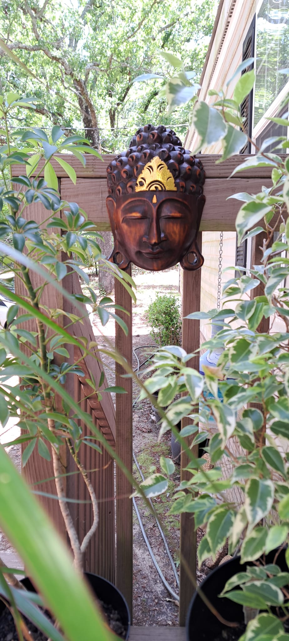 Natural Wood with Gold Touch Buddha Mask Exquisite Bali Craftsmanship for Serenity and Elegance, Wall Decor