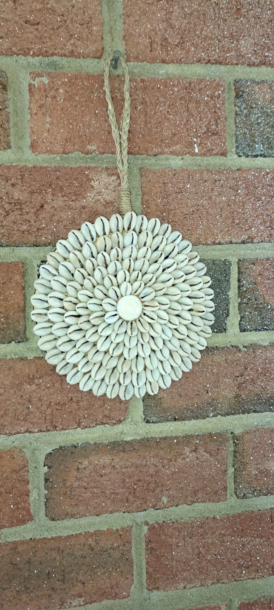 Shell Bloom Wall Art - Nature’s Pattern, Handcrafted for Tropical Elegance Handmade Shell Art from Exotic Bali, Wall Decor