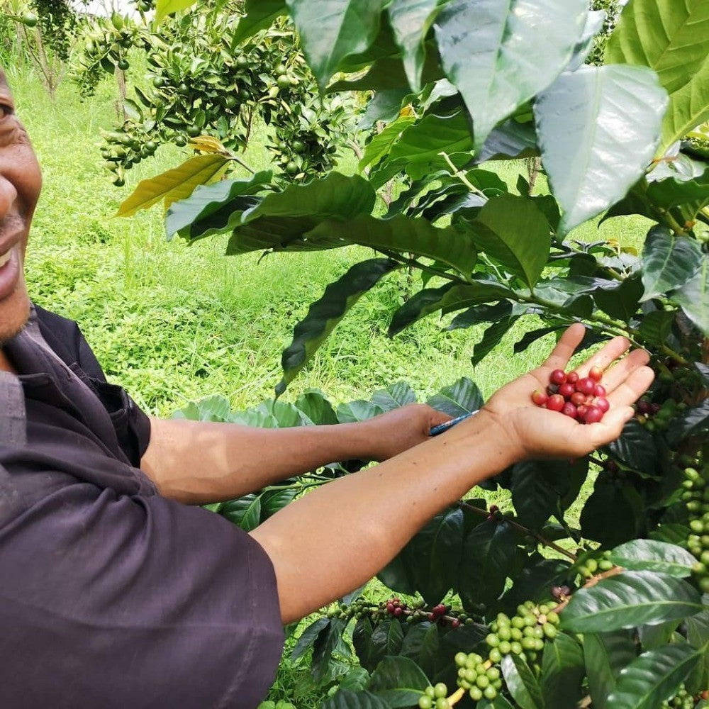 Bali Exotic Island Blend Ground Coffee with Strong Smooth Taste, Great Gift.