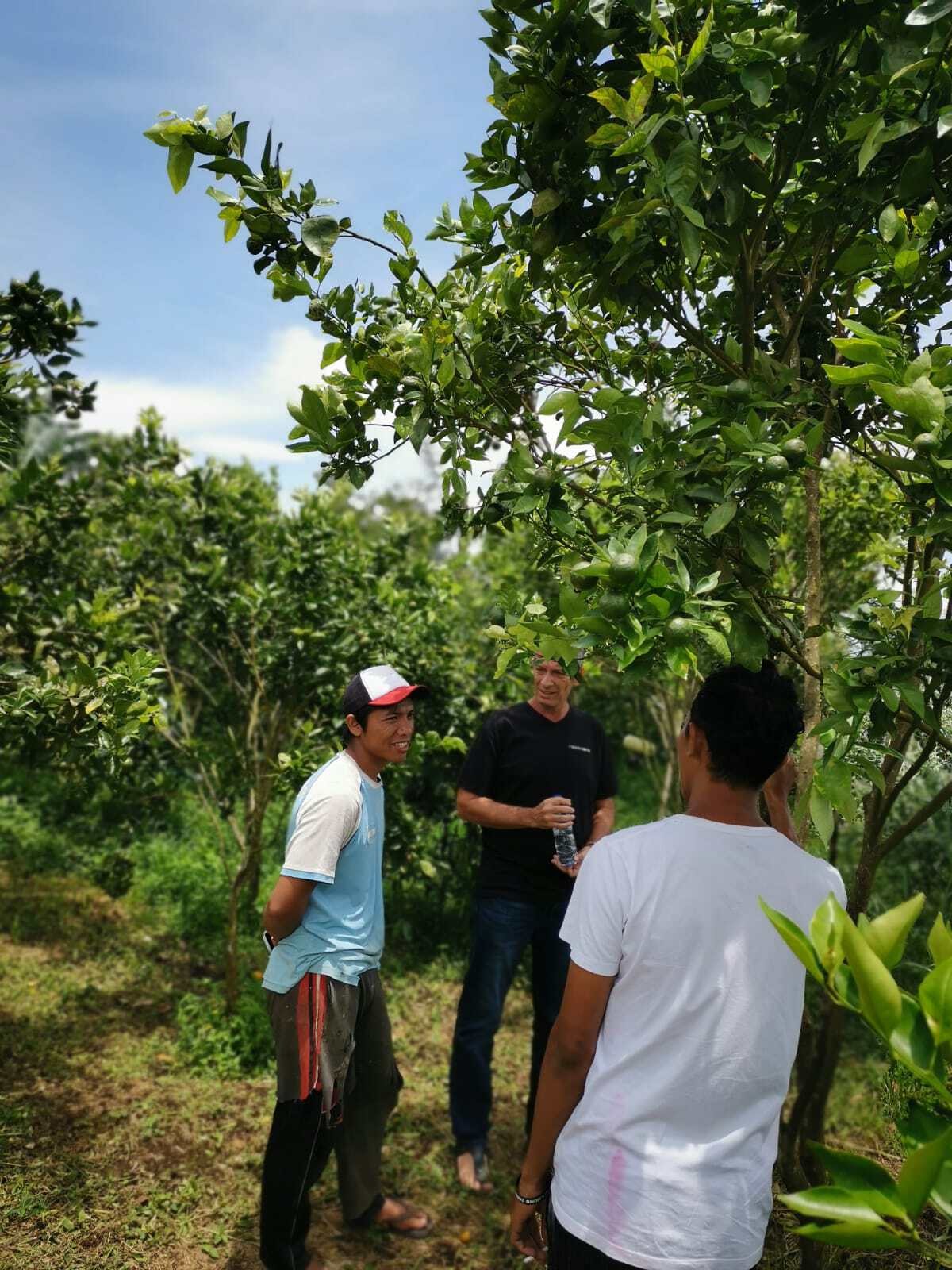 Bali Exotic Island Blend Ground Coffee with Strong Smooth Taste, Great Gift.