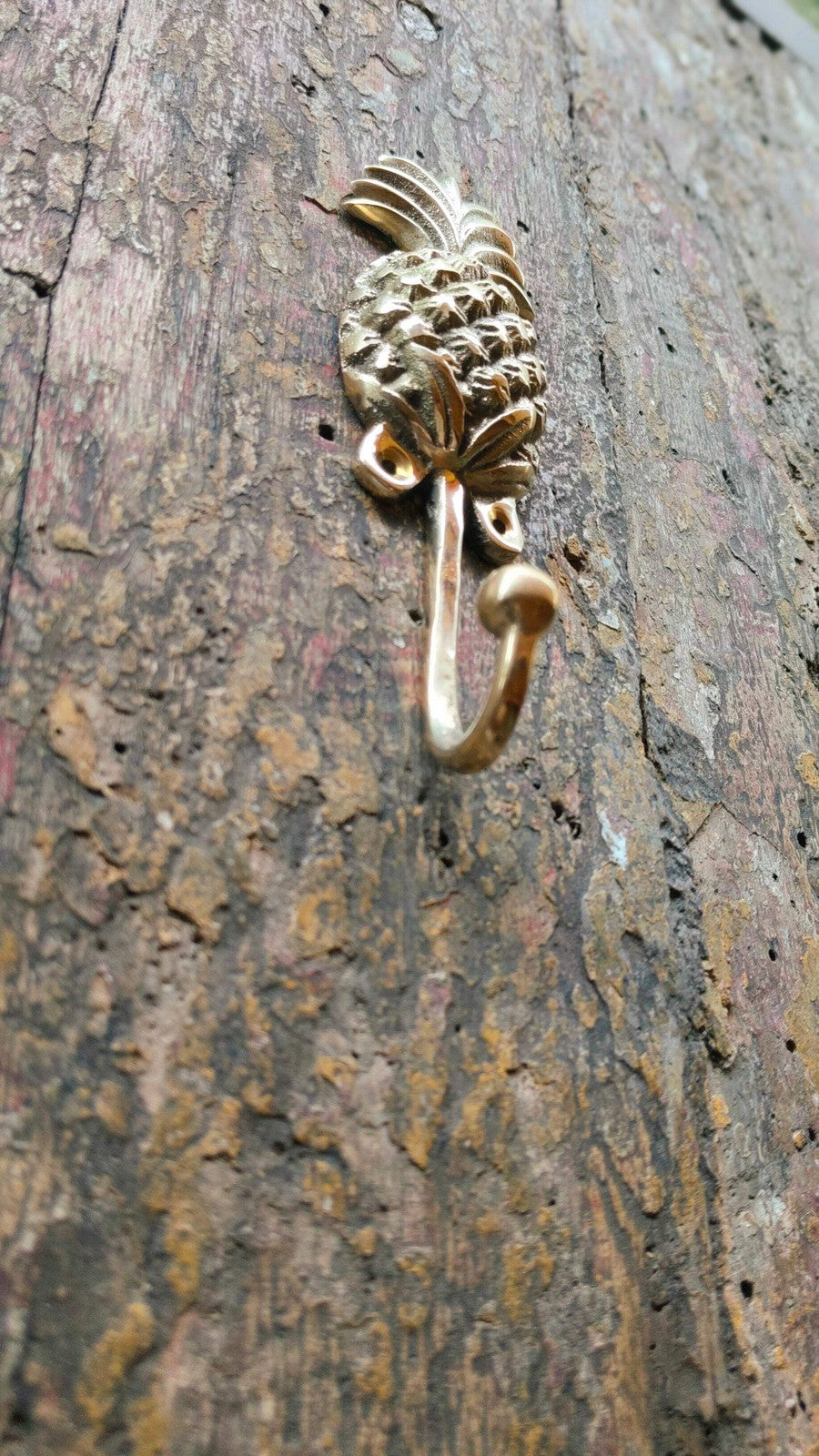 Pineapple Grove Bronze Walls Hooks (Set of 2) - Decorative, Functional, and