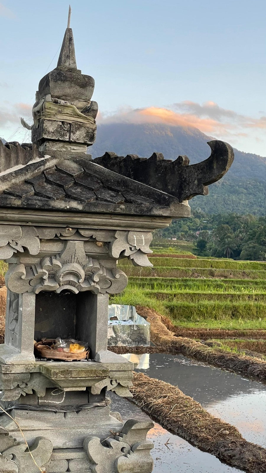 Bali Exotic Island Blend Ground Coffee with Strong Smooth Taste, Great Gift.