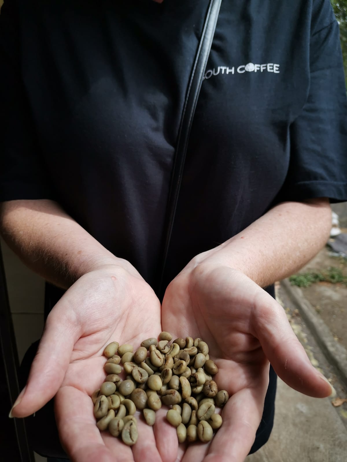 Bali Exotic Island Blend Coffee, Hand-picked and Artisan Roasted, Ground coffee with smooth delicate taste direct from Bali tropical island paradise, 12oz Bag