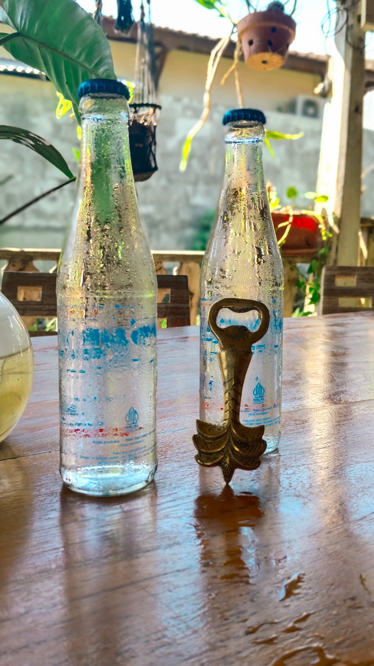 Party Palm Opener - The Gift of Tropical Vibes Tropical Elegance from Bali