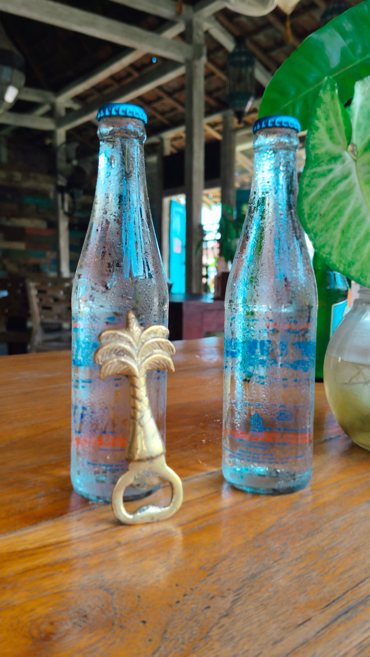 Party Palm Opener - The Gift of Tropical Vibes Tropical Elegance from Bali