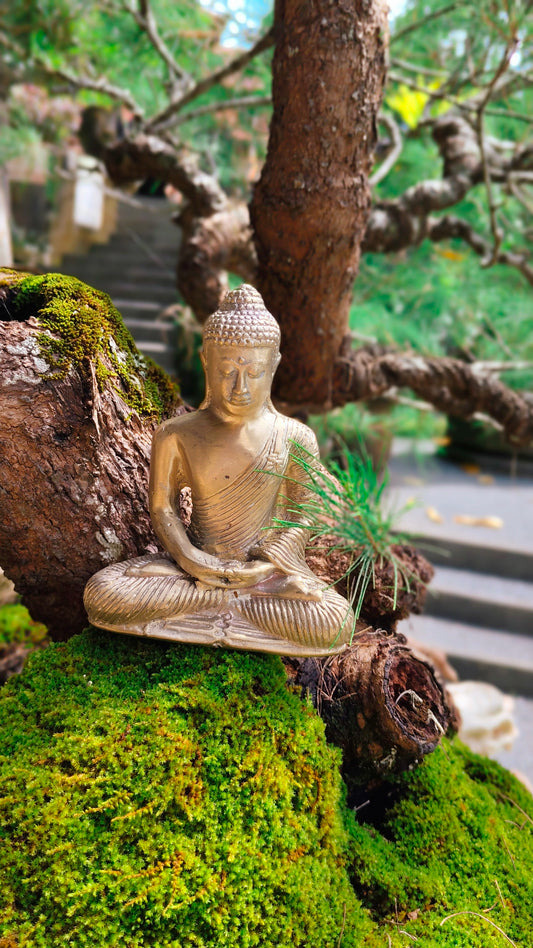 Bali Tranquility Buddha - Bronze Figurine for Calm & Clarity Perfect for Soothing and Calming Home Decor or Office Décor