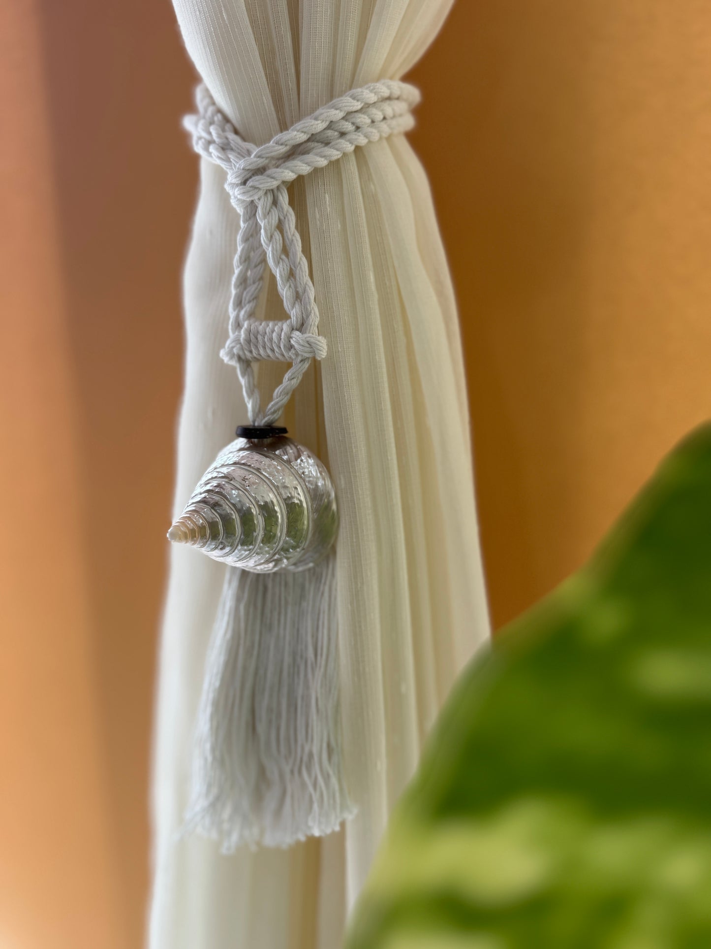 Bali Seashell Curtain Tie Backs (Set of 2)