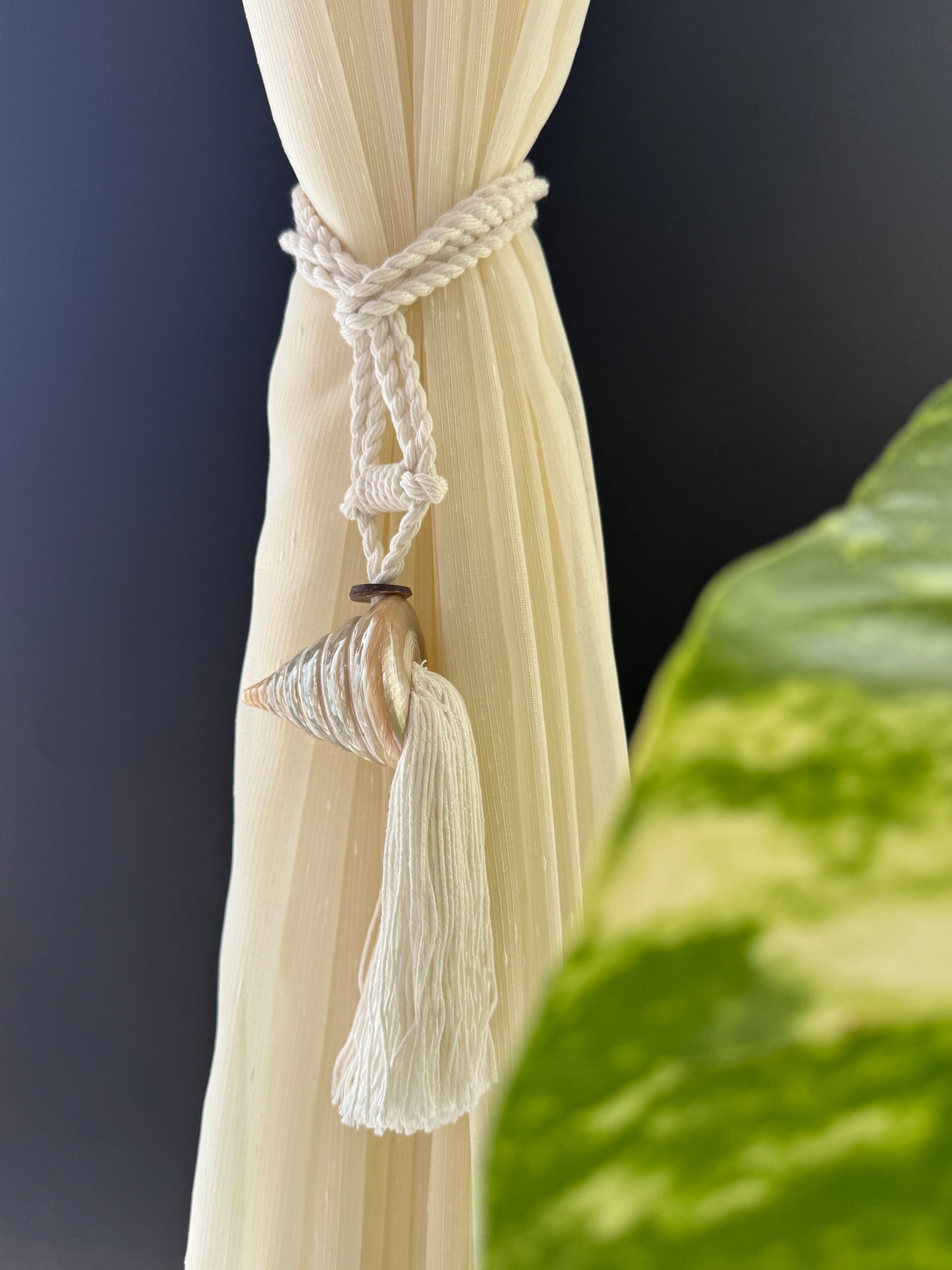 Bali Seashell Curtain Tie Backs (Set of 2)