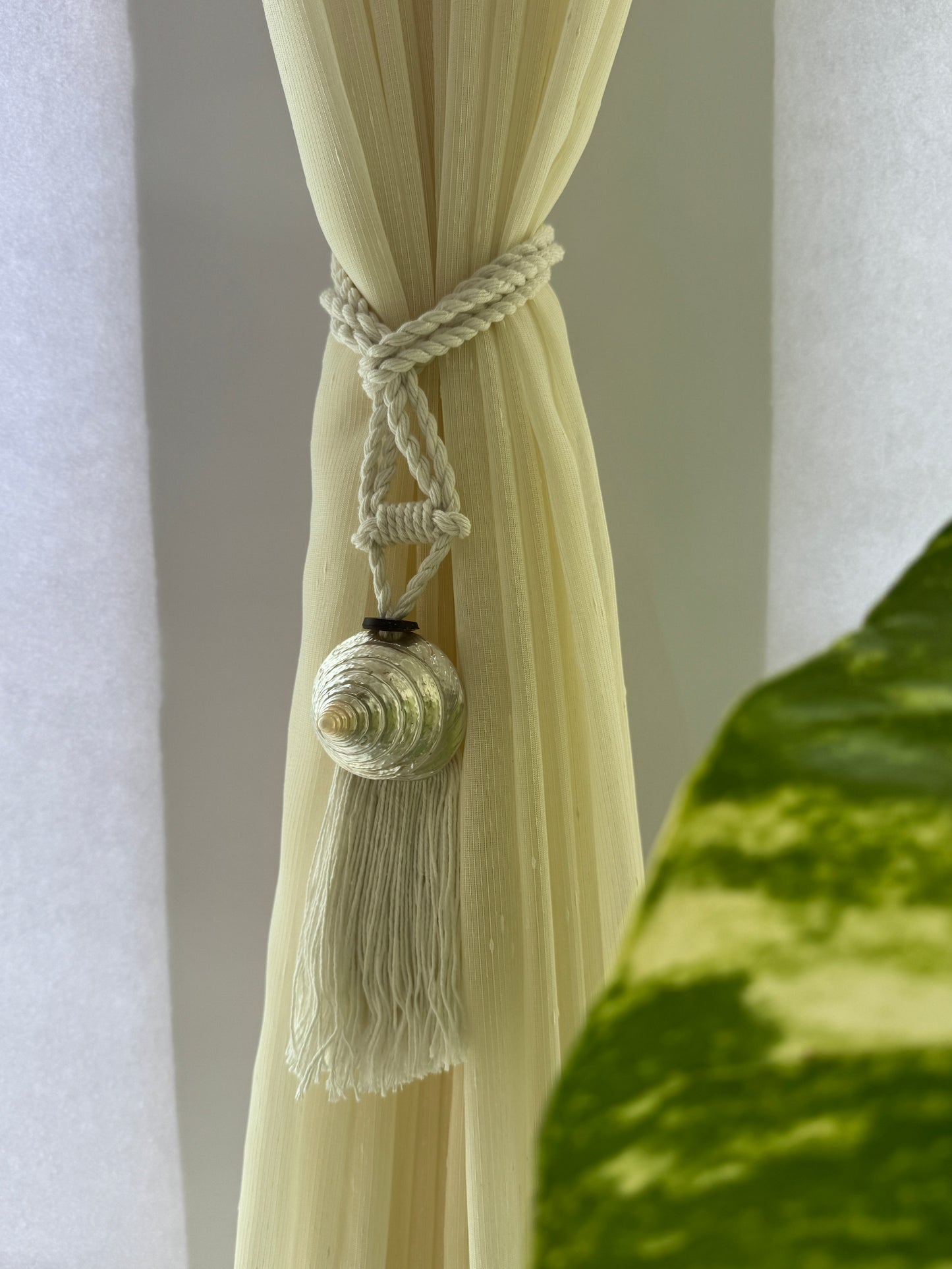 Bali Seashell Curtain Tie Backs (Set of 2)