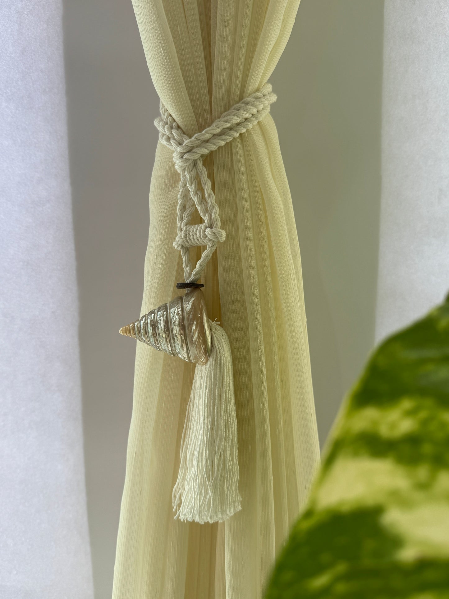 Bali Seashell Curtain Tie Backs (Set of 2)
