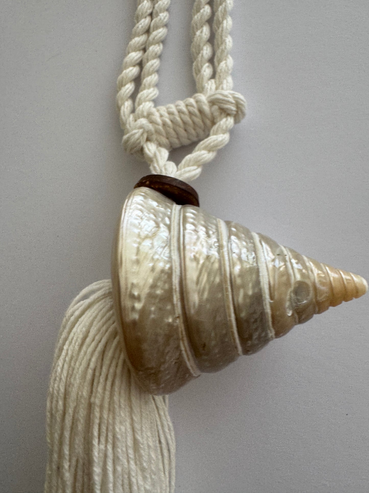 Bali Seashell Curtain Tie Backs (Set of 2)
