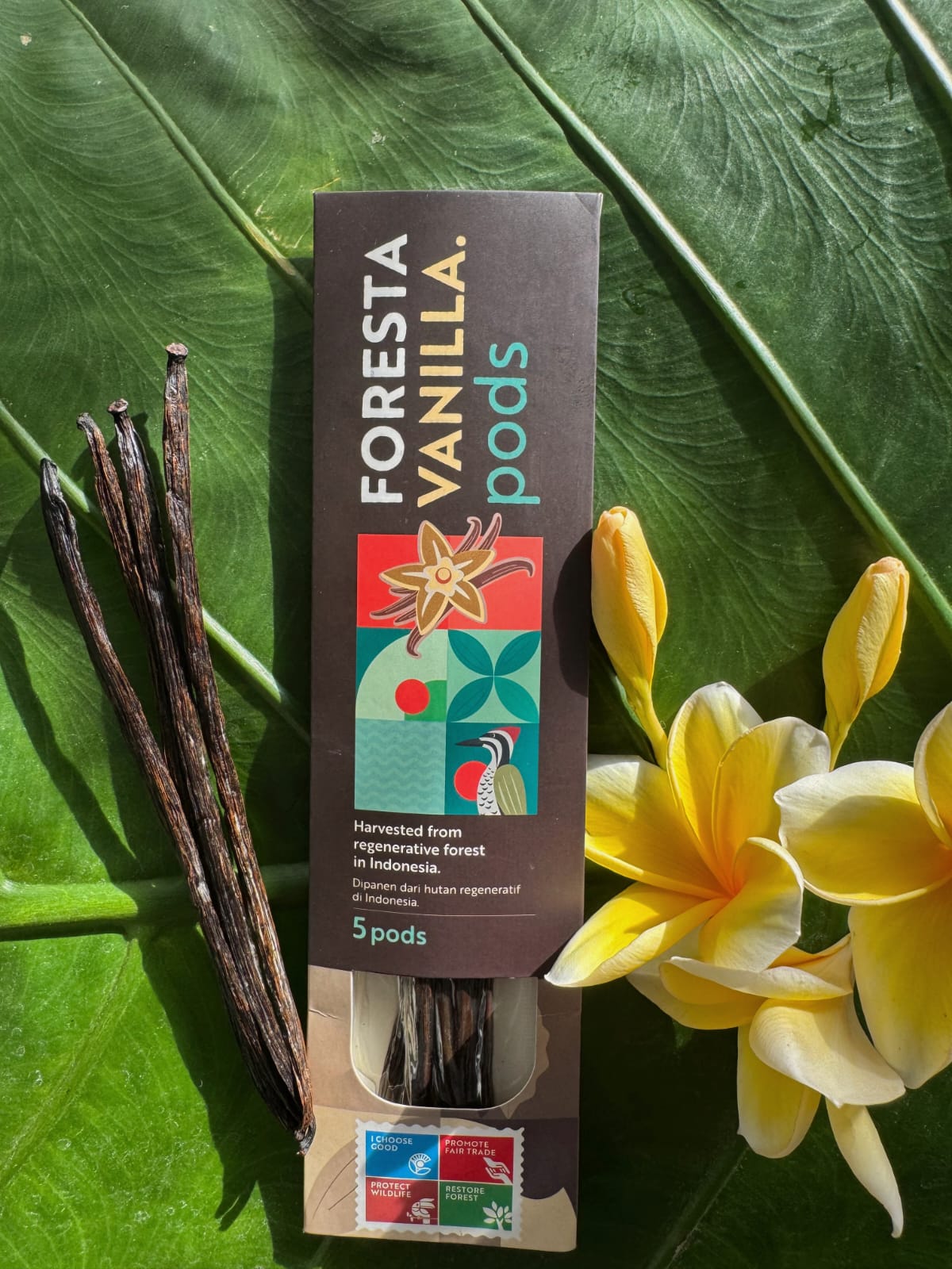 Foresta Bali Vanilla Beans, Grade A, 5-Pack, Premium Gourmet Pods, Rich and Aromatic, for Baking, Making Extract and Cooking