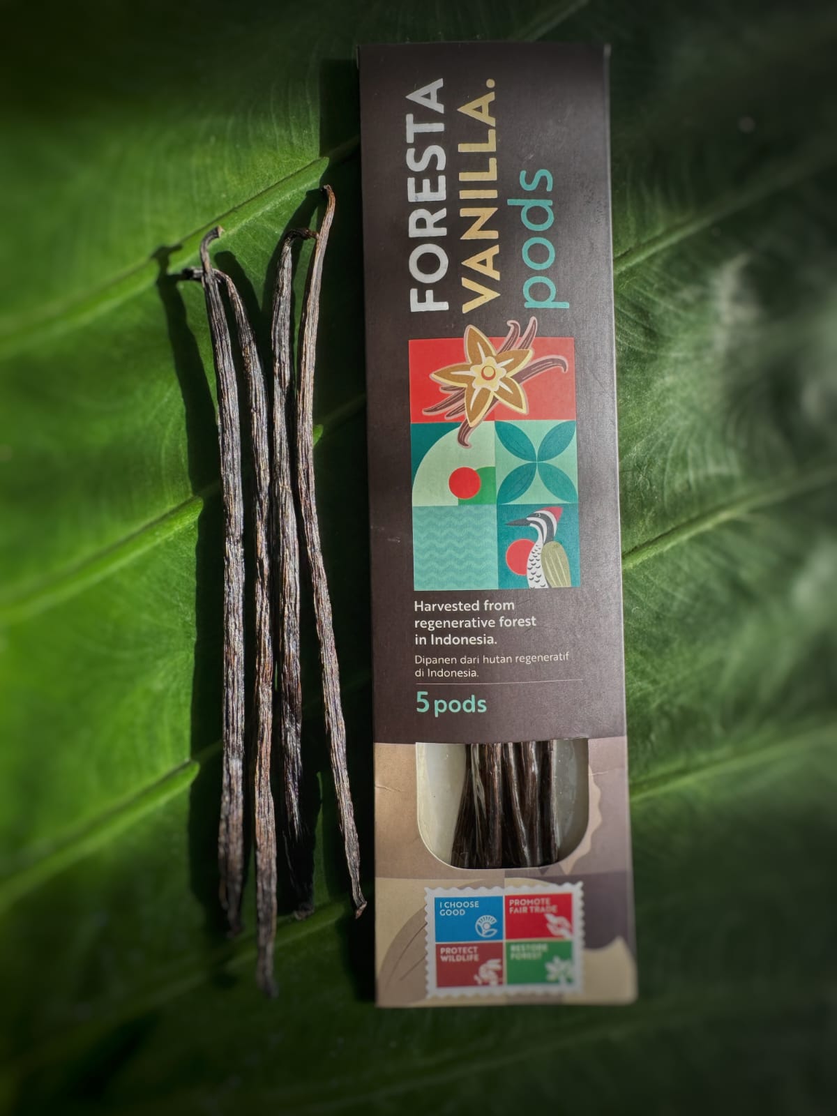 Foresta Bali Vanilla Beans, Grade A, 5-Pack, Premium Gourmet Pods, Rich and Aromatic, for Baking, Making Extract and Cooking