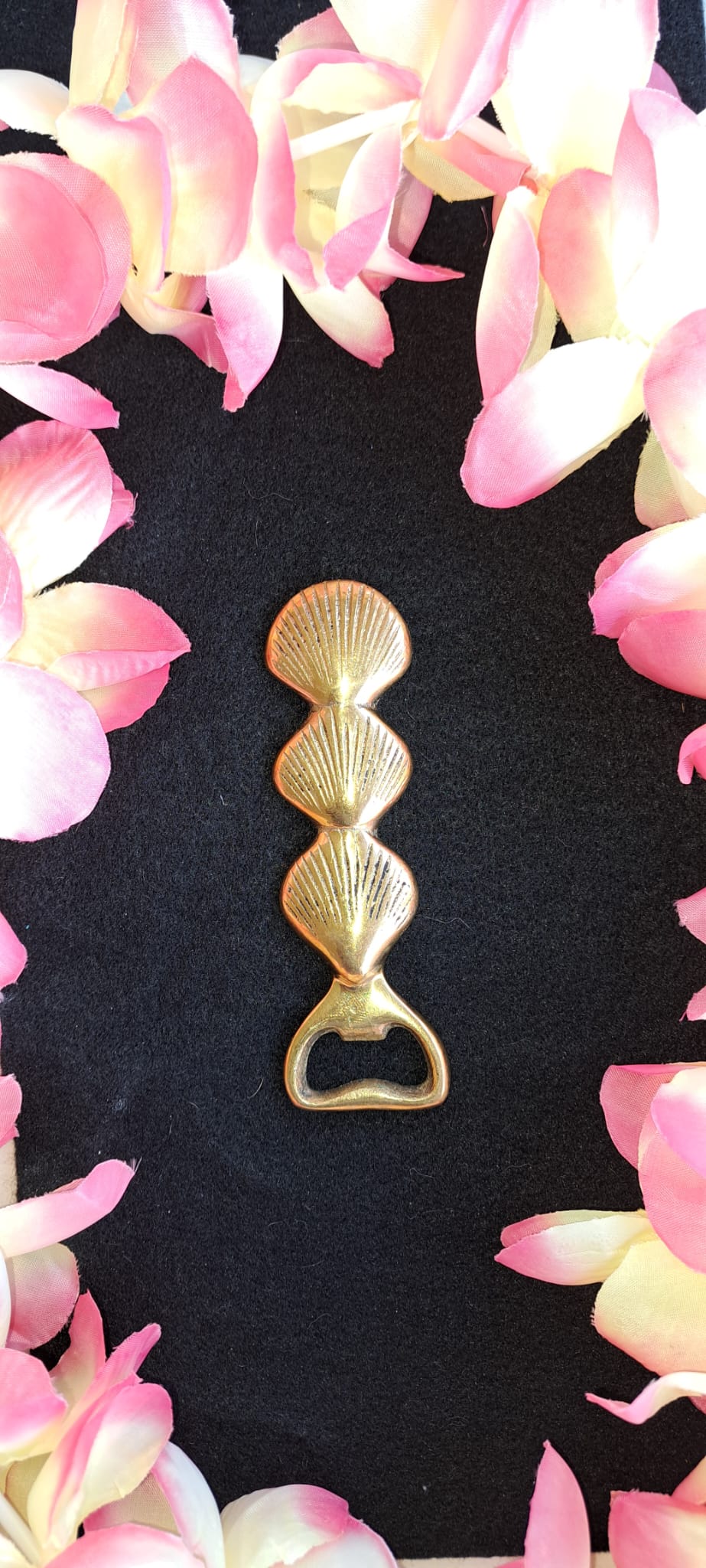 Sundowner Shell Opener, A Gift as Timeless as the Sunset - Open Bottles With Style An Elegant Addition to Your Kitchen or Bar Decor