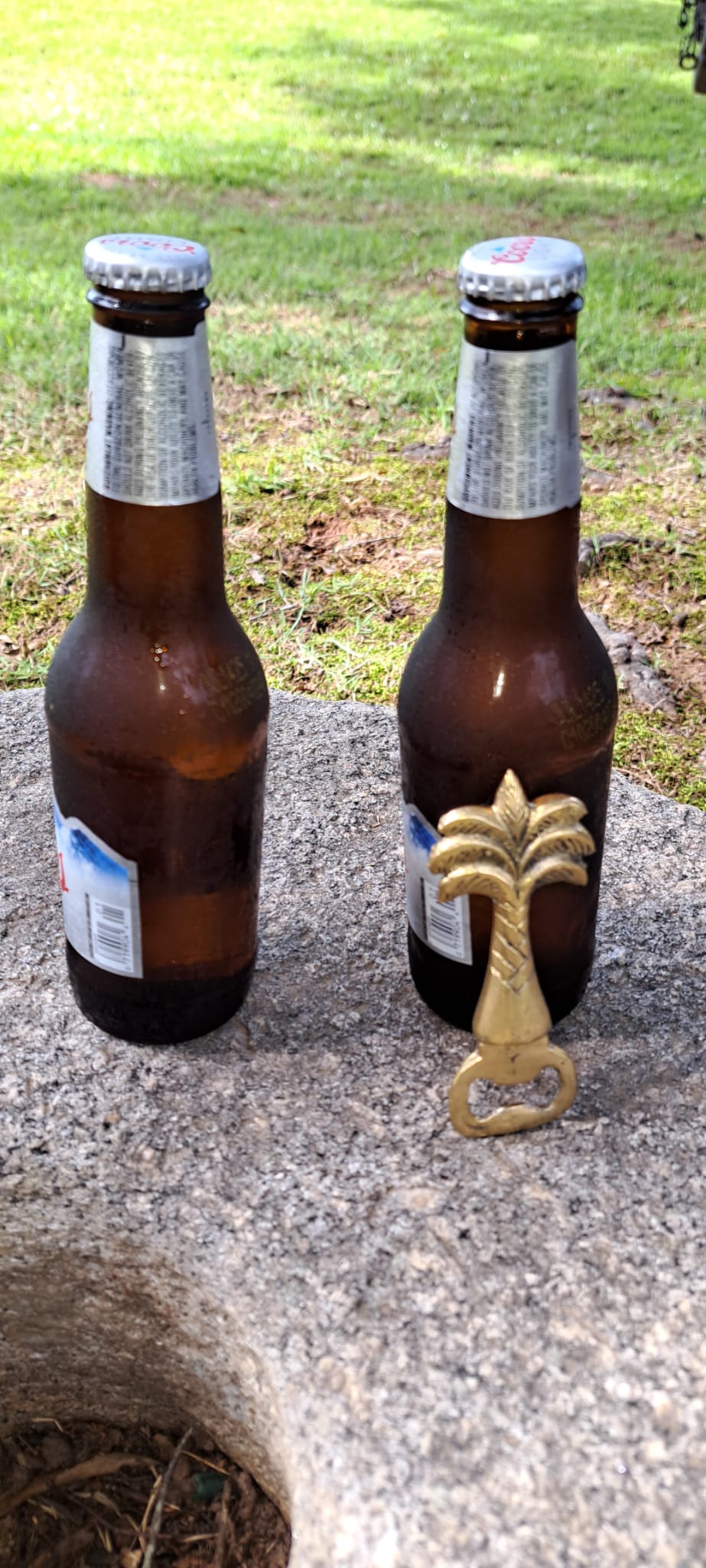 Party Palm Opener - The Gift of Tropical Vibes Tropical Elegance from Bali