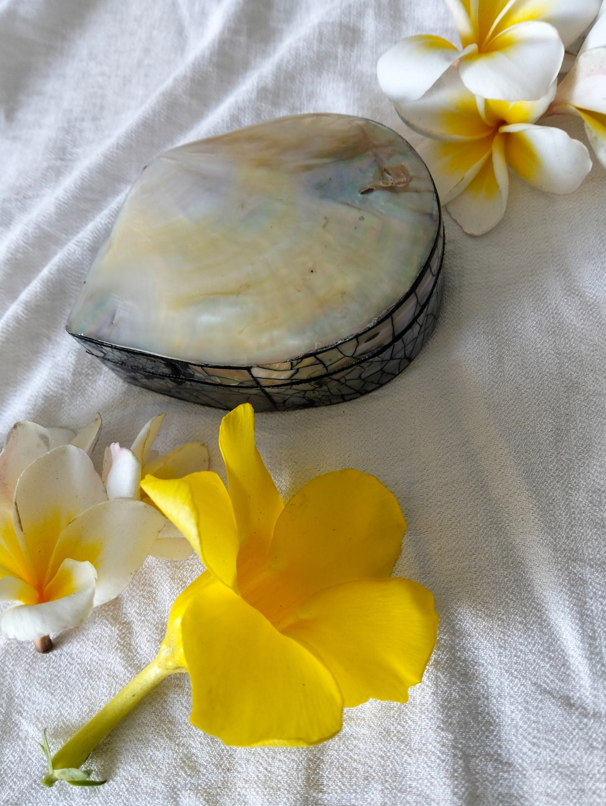 Lunar Pearl Gift Case From Paradise Bali, Jewelry Box for Your Treasures, Vanity Table & Bathroom Accessory, Beach Memories, Unique Boho Gift for Friend or Mom