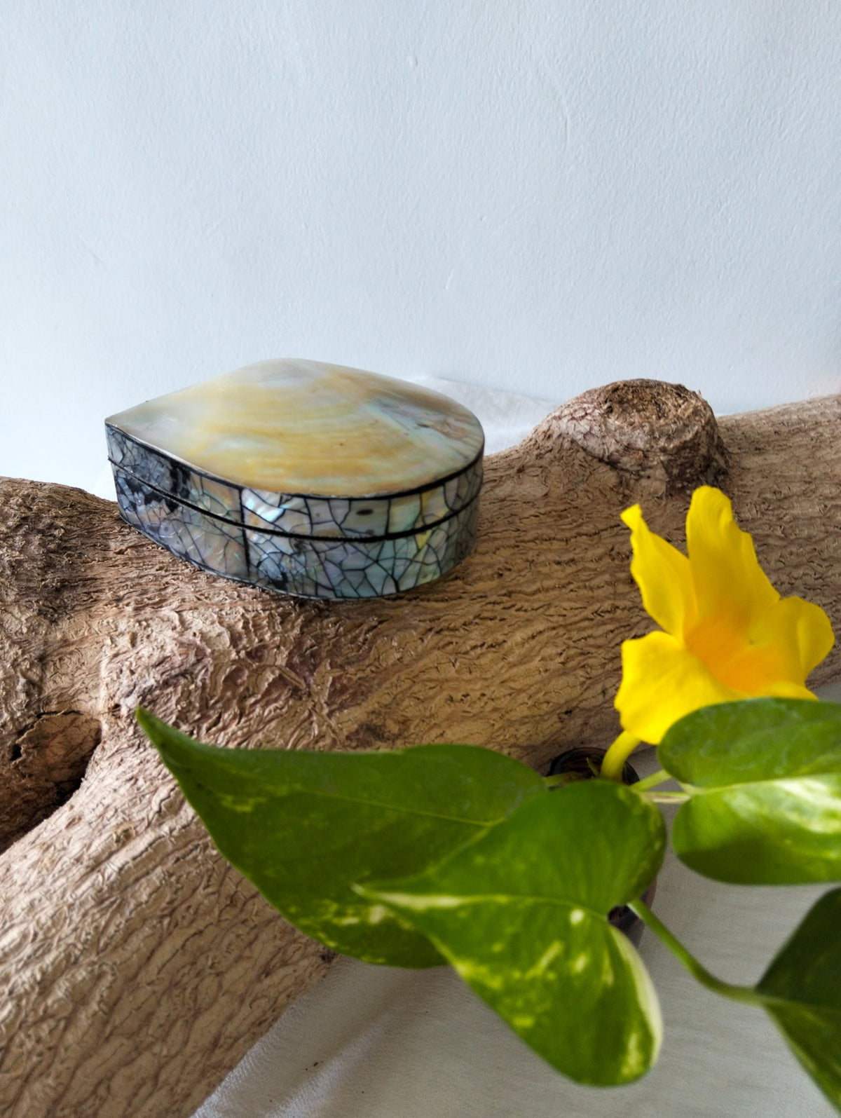 Lunar Pearl Gift Case From Paradise Bali, Jewelry Box for Your Treasures, Vanity Table & Bathroom Accessory, Beach Memories, Unique Boho Gift for Friend or Mom