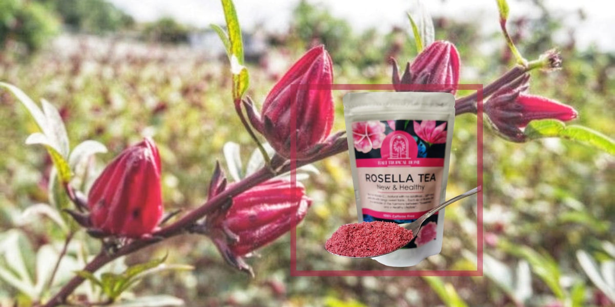 Exquisite Bali Rosella Powder Tea, 3.5oz, Herbal & Natural, Beautiful Red Color Drink for Special Events or Relaxing at Home