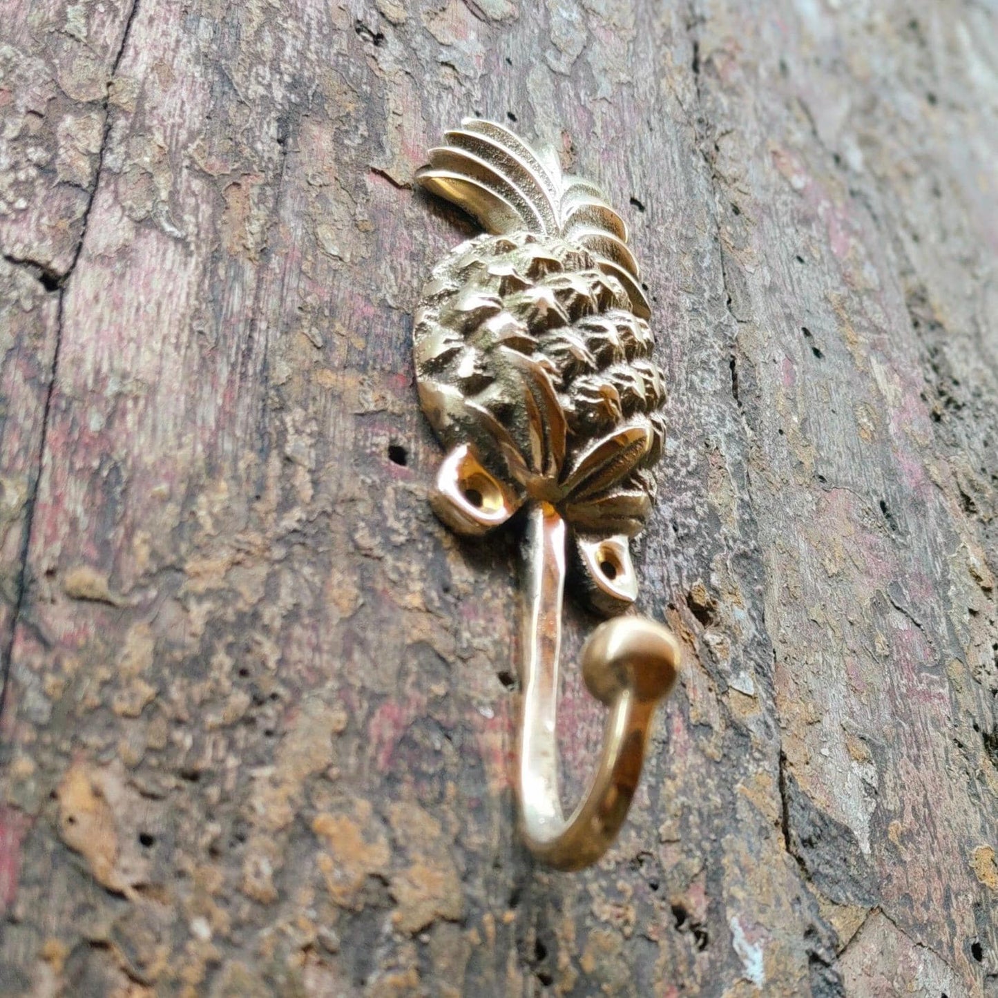 Handmade Bronze Pineapple Wall Hooks (Set of 2) – Tropical Home Decor