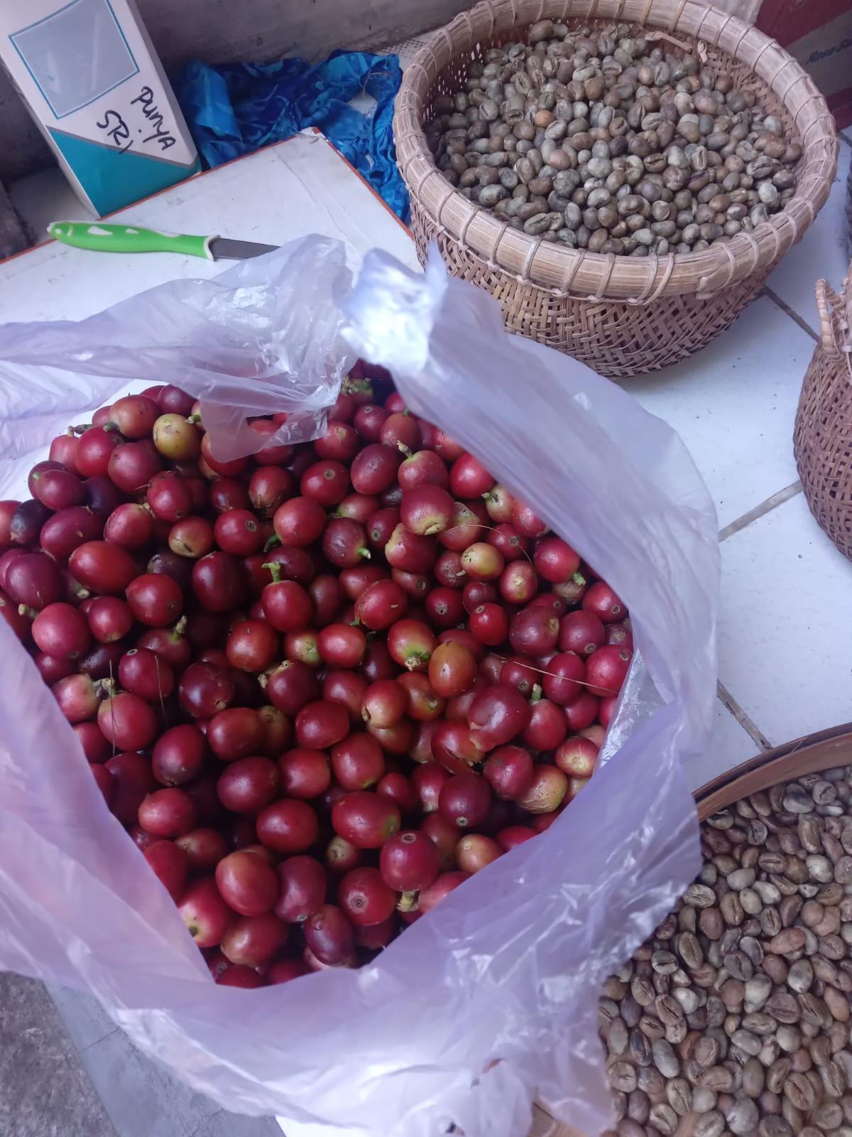 Artisan Roasted Bali Blend Coffee, Ground, Smooth Delicate Taste (12oz)