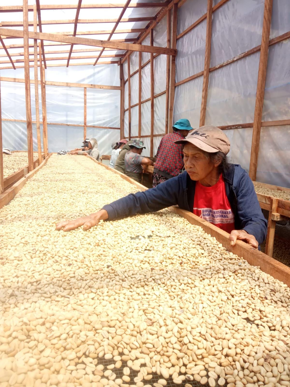 Artisan Roasted Bali Blend Coffee, Ground, Smooth Delicate Taste (12oz)