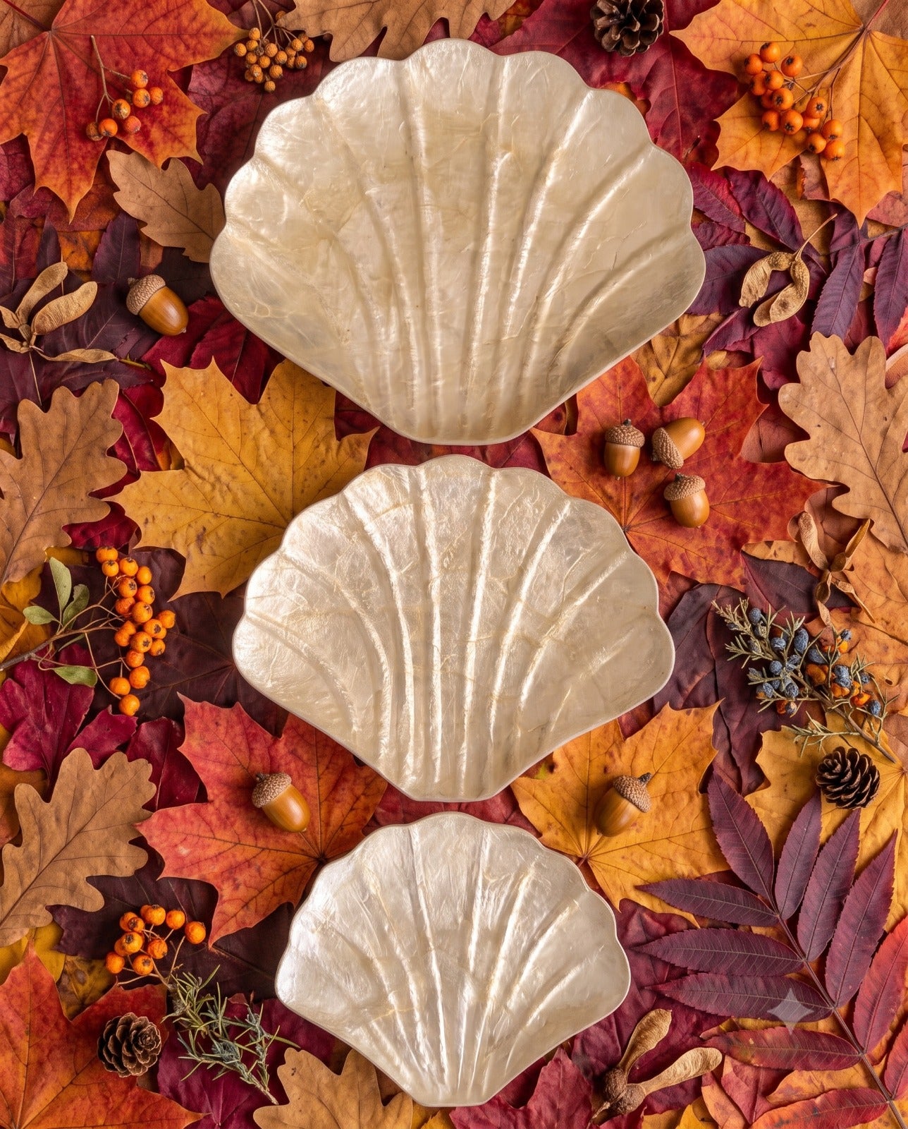 Sea Shell Plates Set 3 ( Large, Medium, Small) from Bali