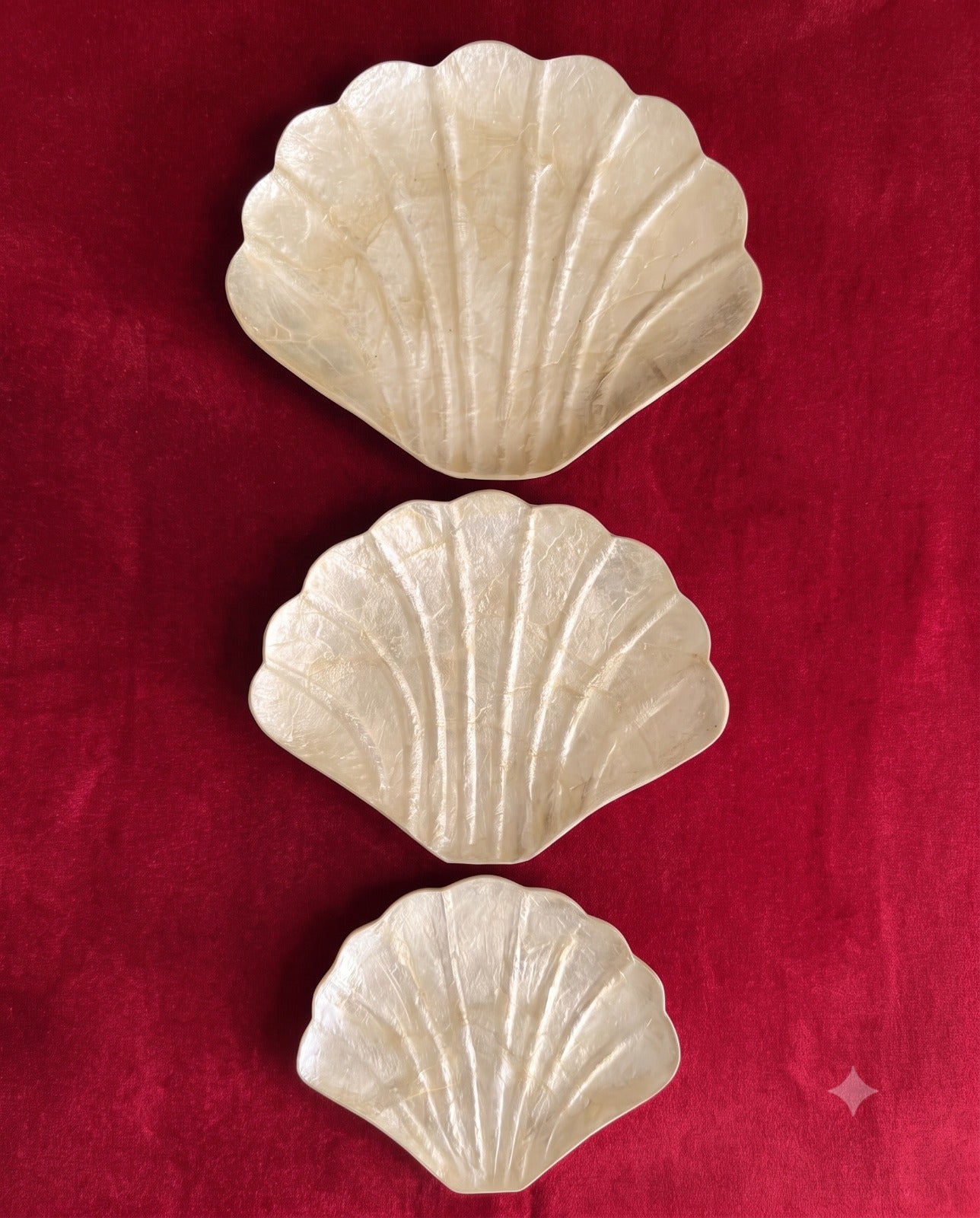 Sea Shell Plates Set 3 ( Large, Medium, Small) from Bali