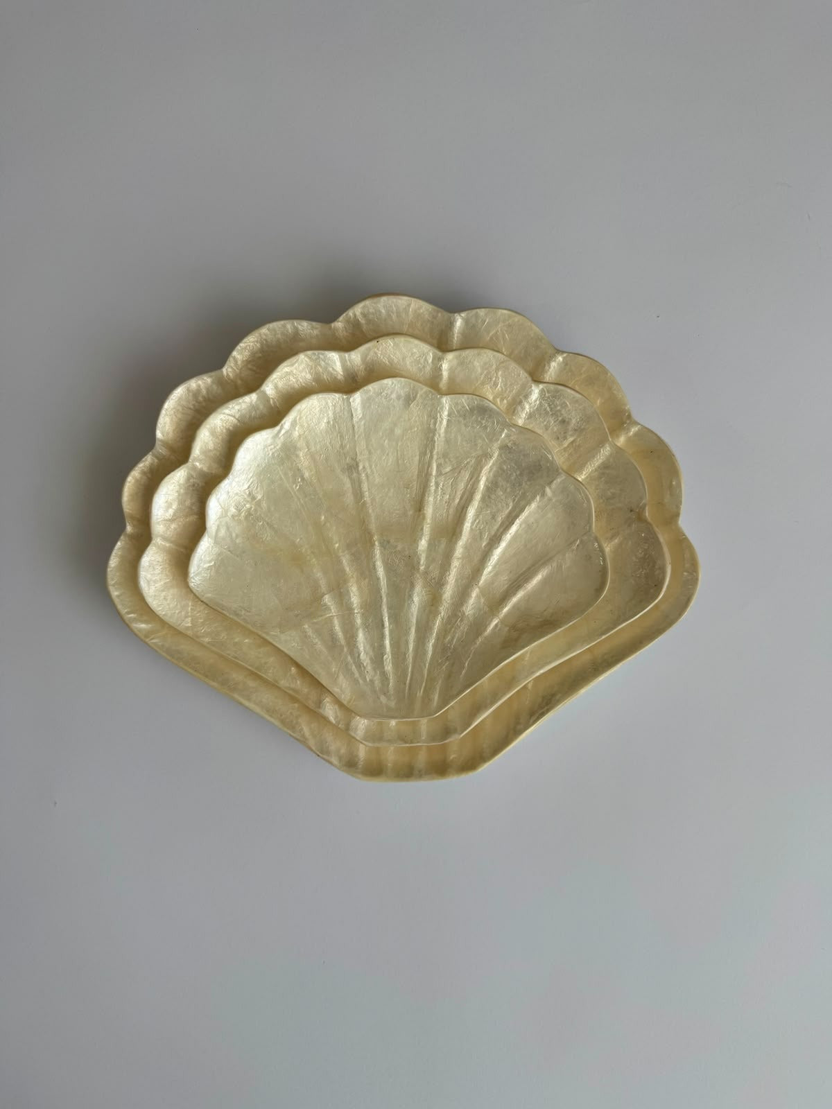 Sea Shell Plates Set 3 ( Large, Medium, Small) from Bali