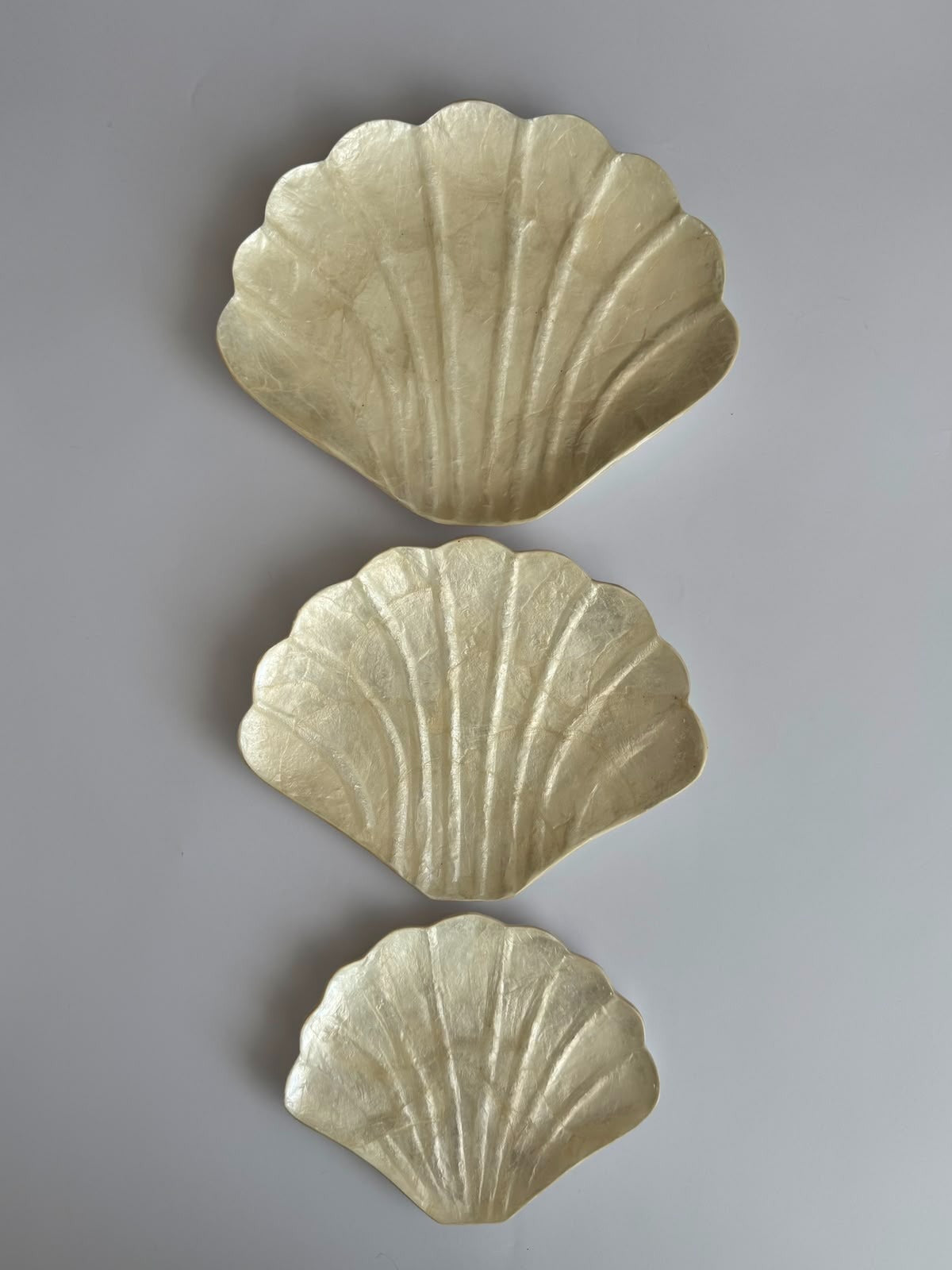 Sea Shell Plates Set 3 ( Large, Medium, Small) from Bali