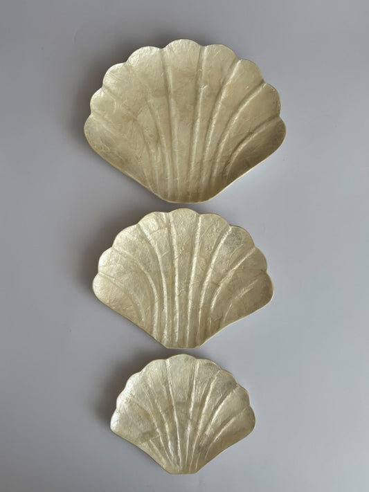 Sea Shell Plates Set 3 ( Large, Medium, Small) from Bali