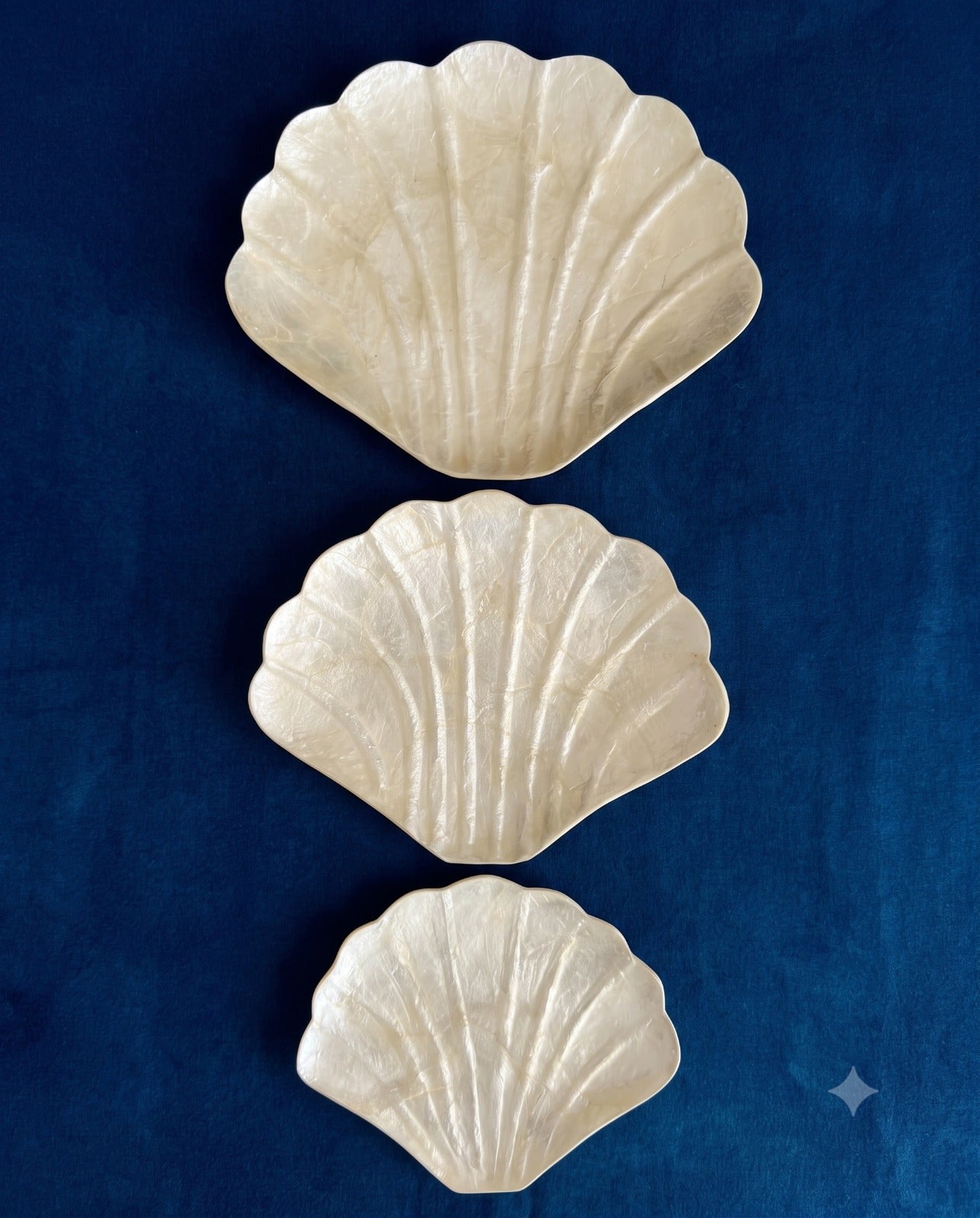 Sea Shell Plates Set 3 ( Large, Medium, Small) from Bali