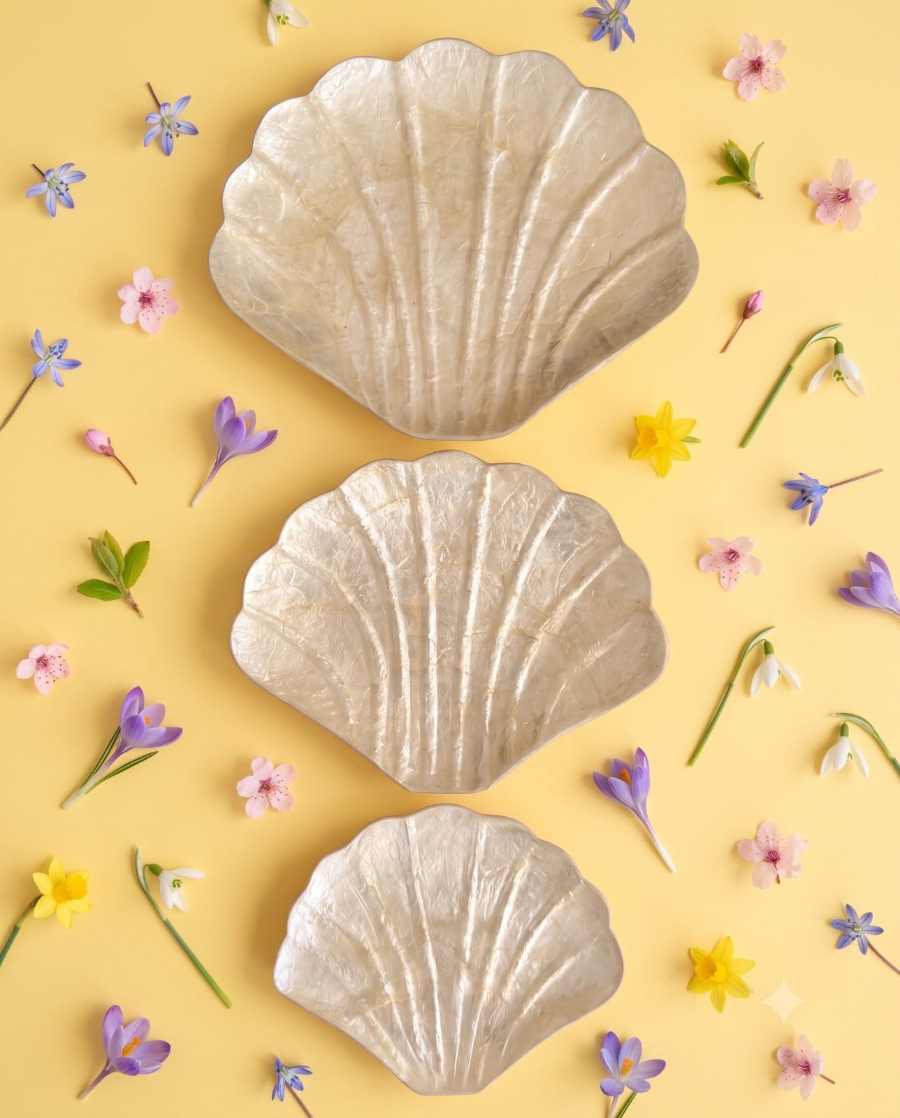 Sea Shell Plates Set 3 ( Large, Medium, Small) from Bali
